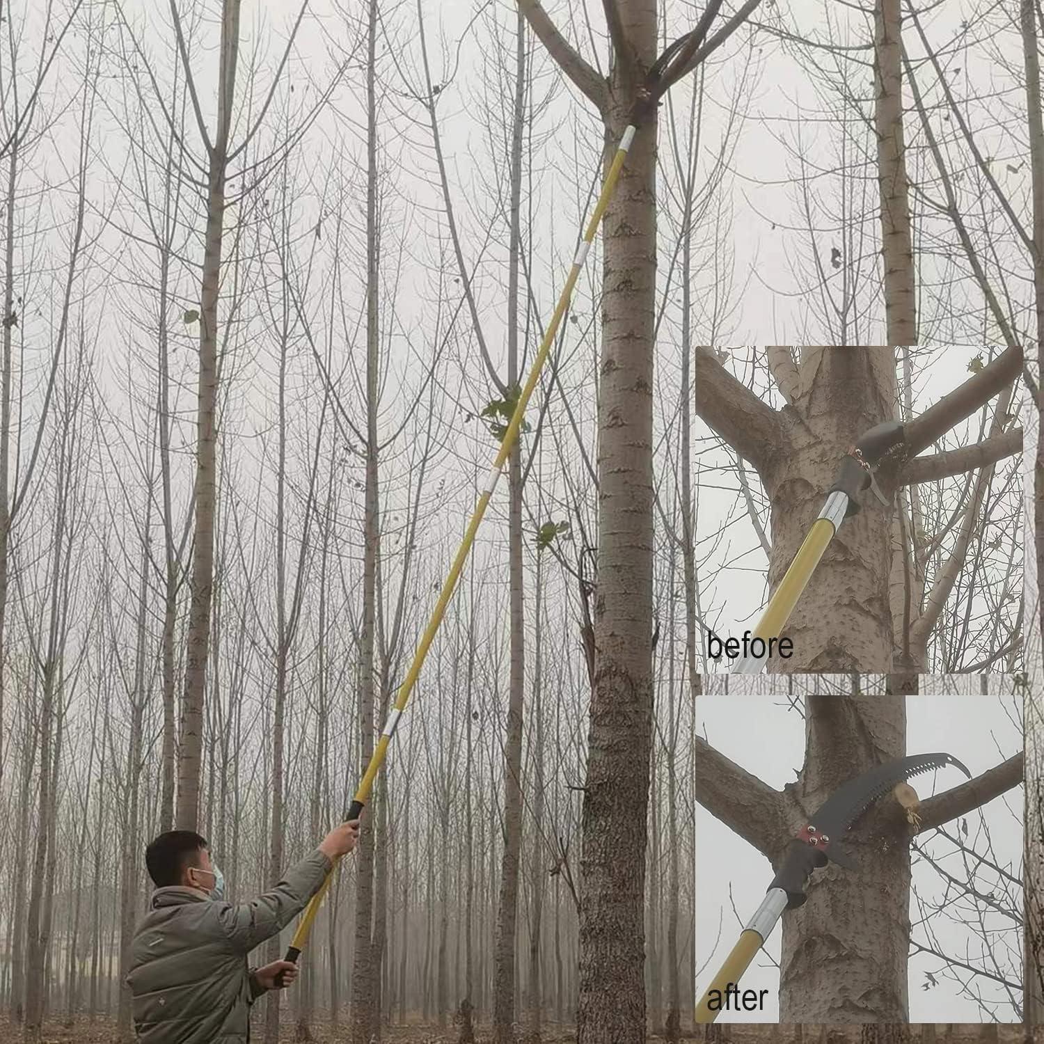 Podadora de Árboles Murezuer 9 Mangos 6,56 kg Extensible