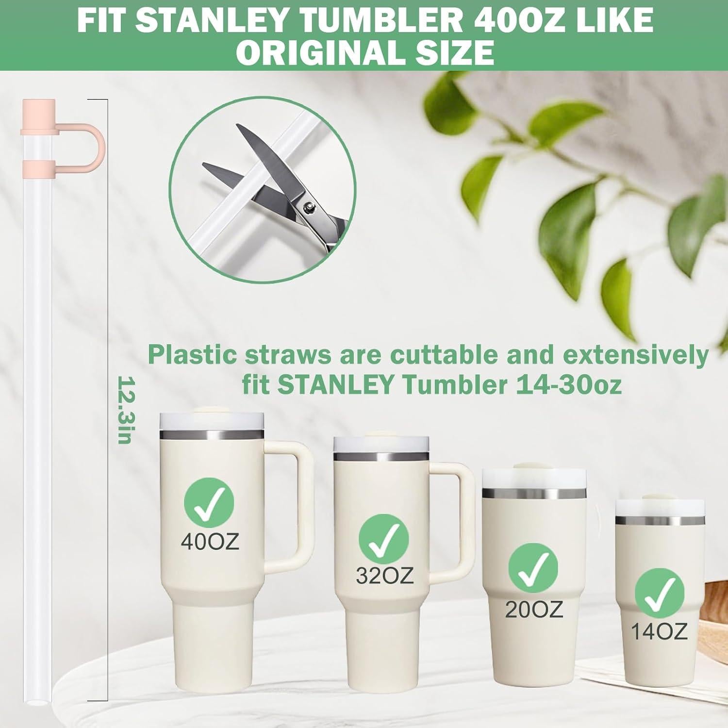 Pajitas Reutilizables HEYSKAY 6pc para Taza Stanley 30oz 40oz