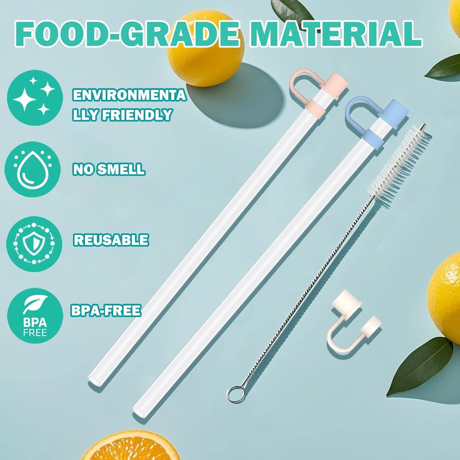 Pajitas Reutilizables HEYSKAY 6pc para Taza Stanley 30oz 40oz