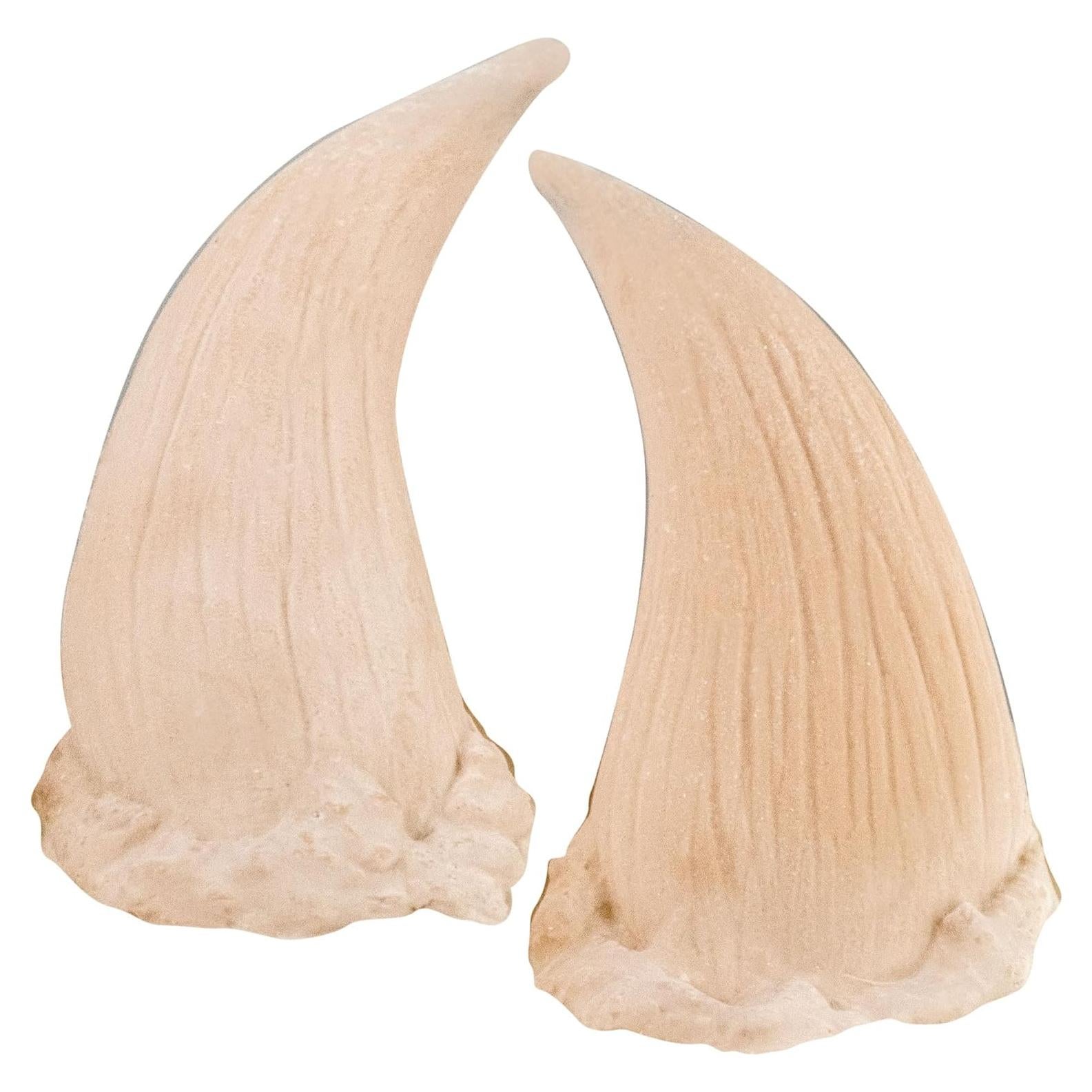 Juego de Cuernos de Látex Cinema Secrets Woochie - Color Carne