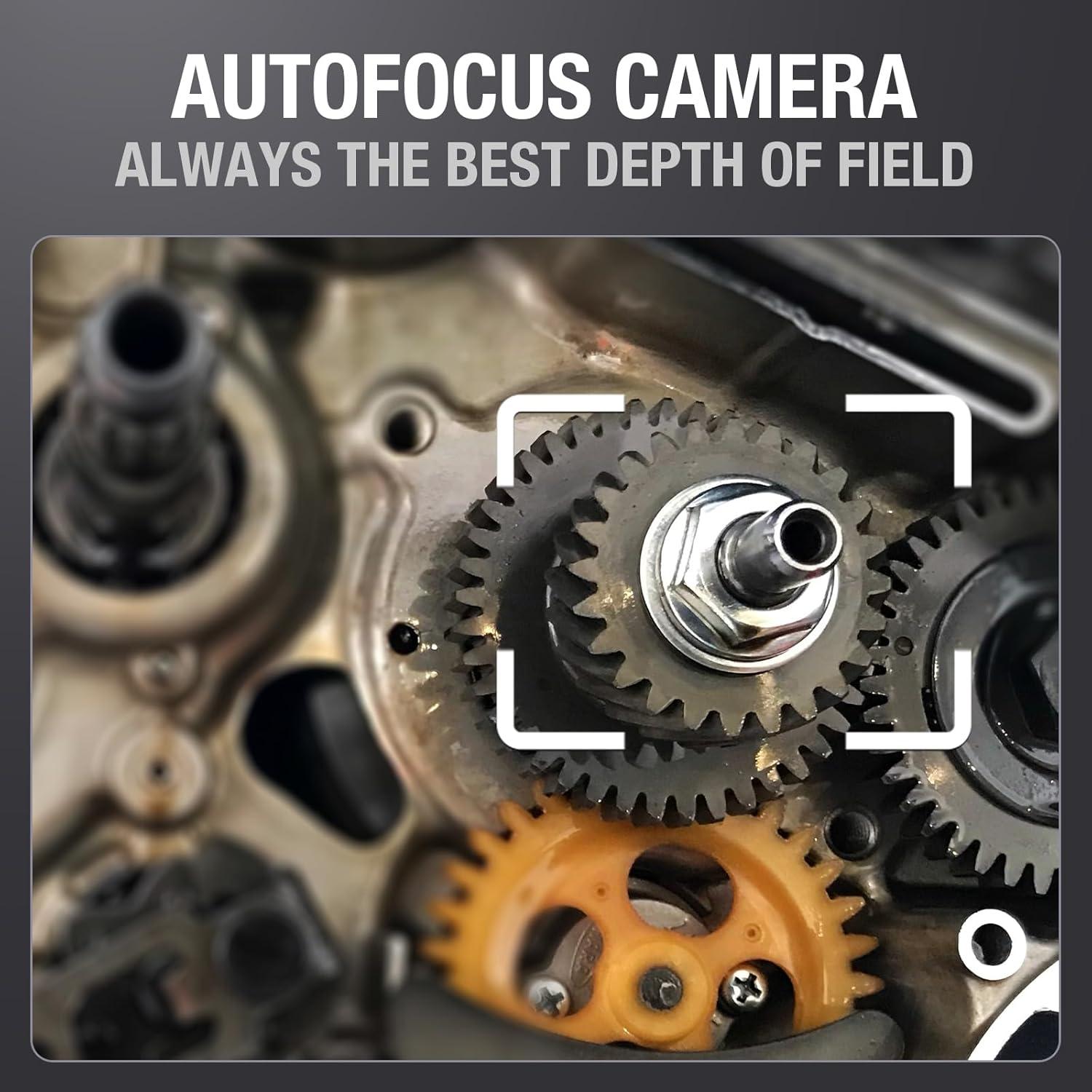 Borescopio Articulado Teslong TD500 con Pantalla de 5" y Sonda IP67