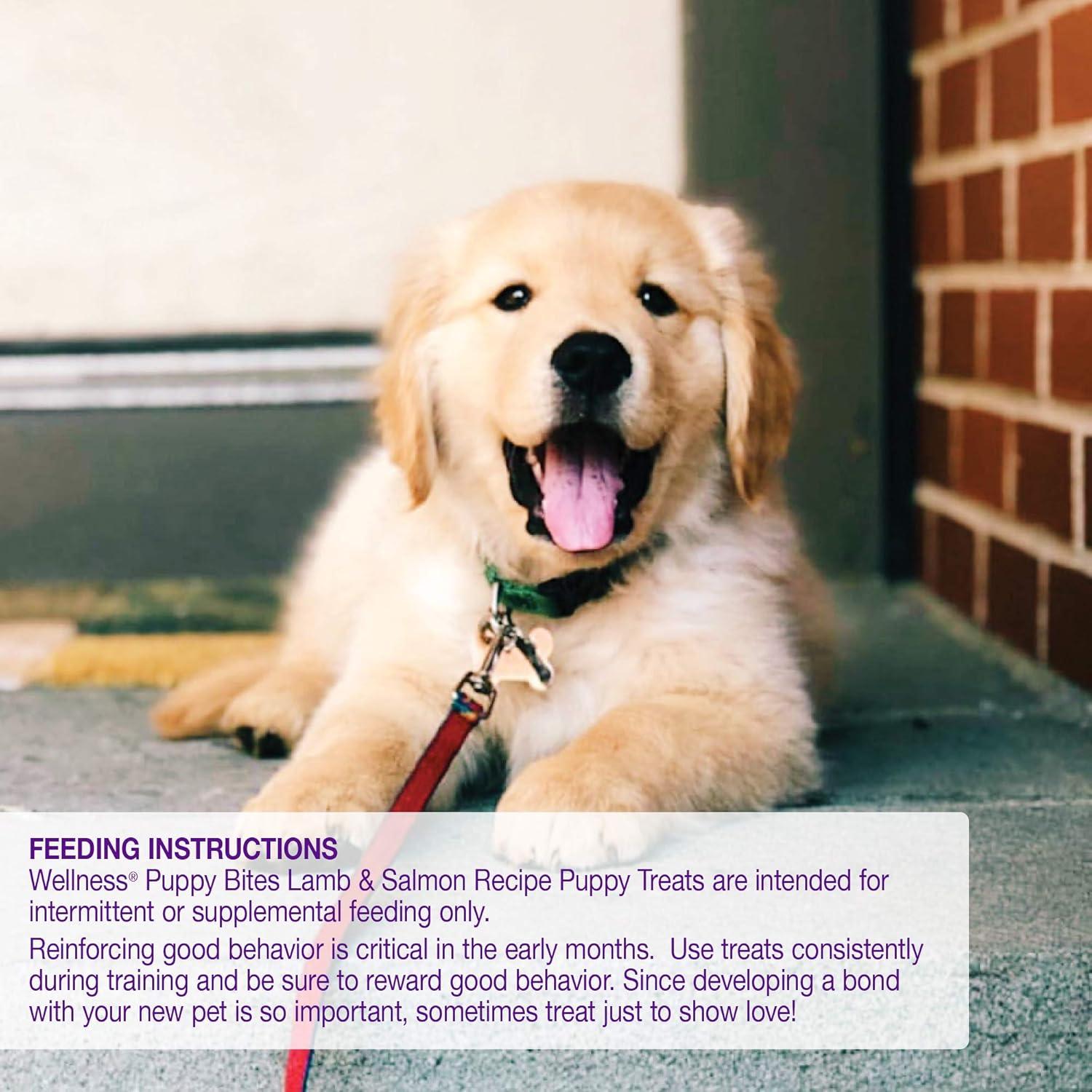 Galletas para Cachorros Wellness Cordero y Salmón 85g Sin Granos