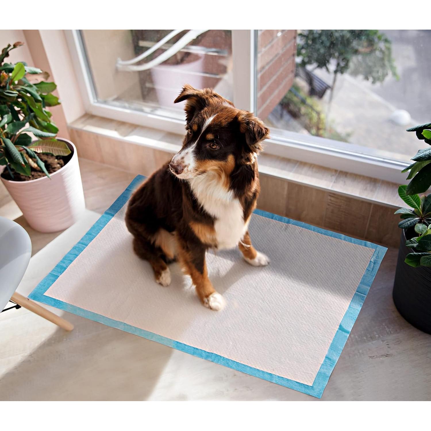 Alfombrillas Absorbentes para Mascotas Bestle 55.9x55.9 cm