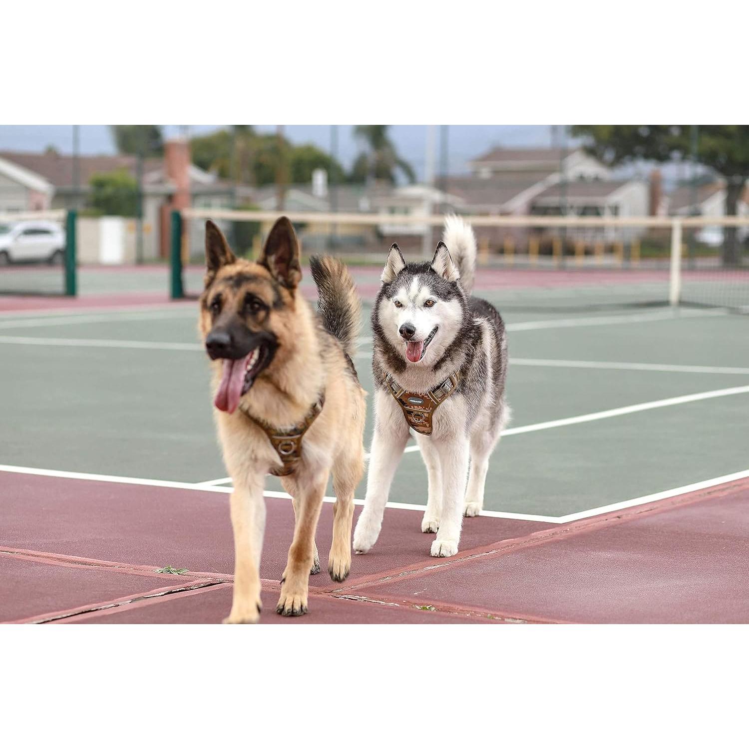 Arnés Táctico Auroth XL para Perros Grandes Ajustable