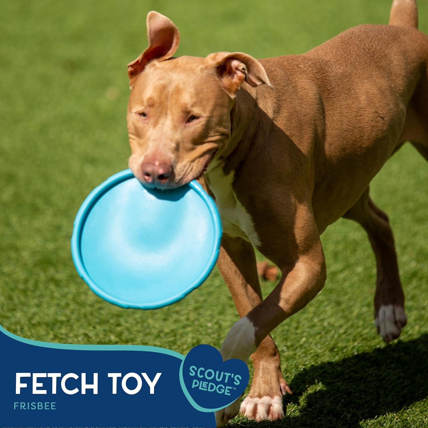 Frisbee para Perros Good Scout 22cm Duradero y Colorido