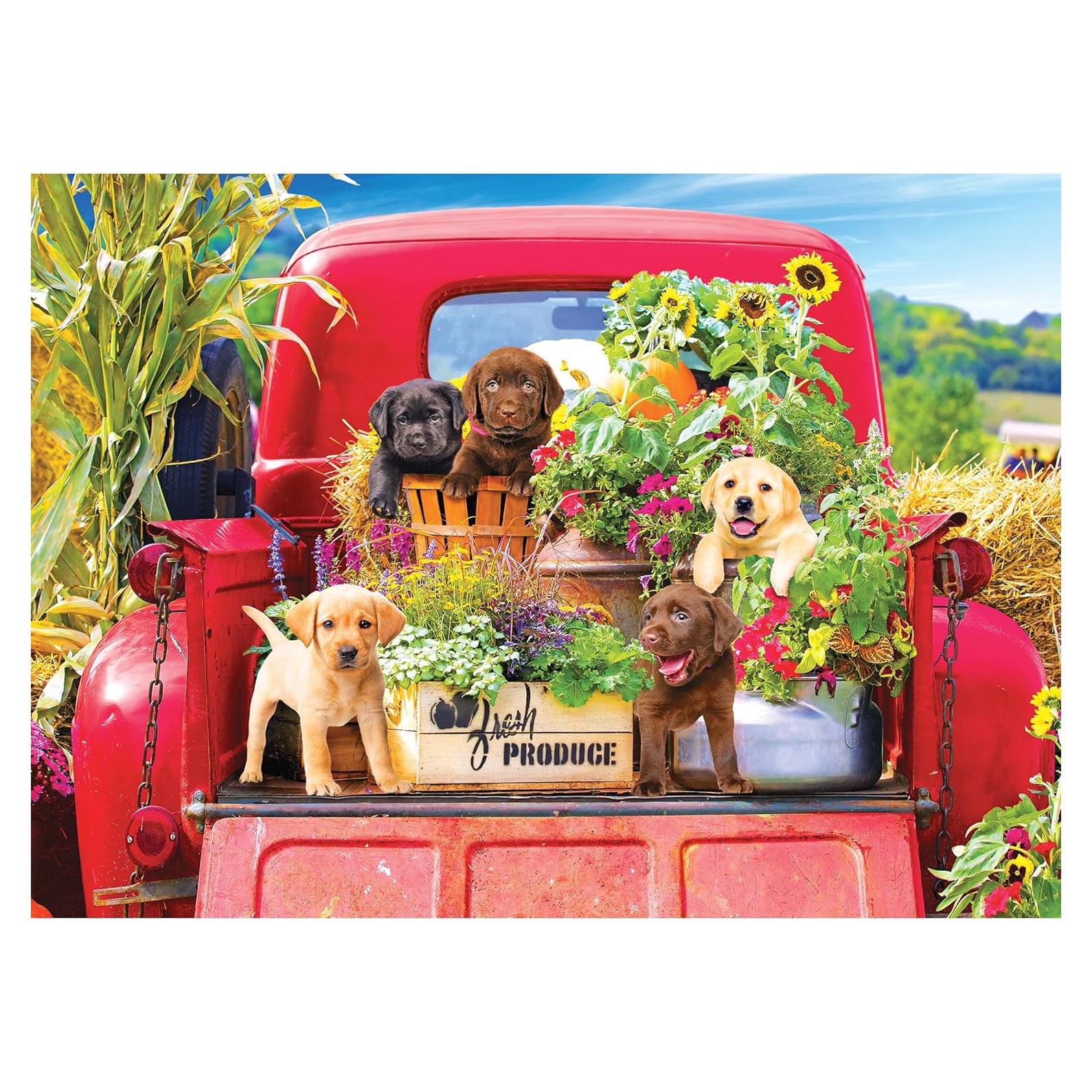 Rompecabezas Kodak Premium 1000 Piezas Stowaways