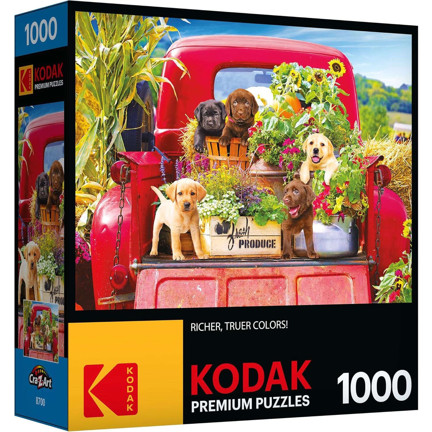 Rompecabezas Kodak Premium 1000 Piezas Stowaways