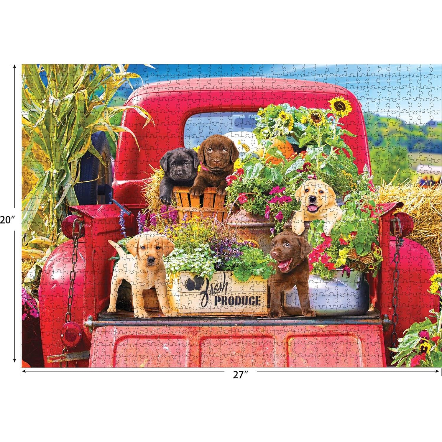 Rompecabezas Kodak Premium 1000 Piezas Stowaways