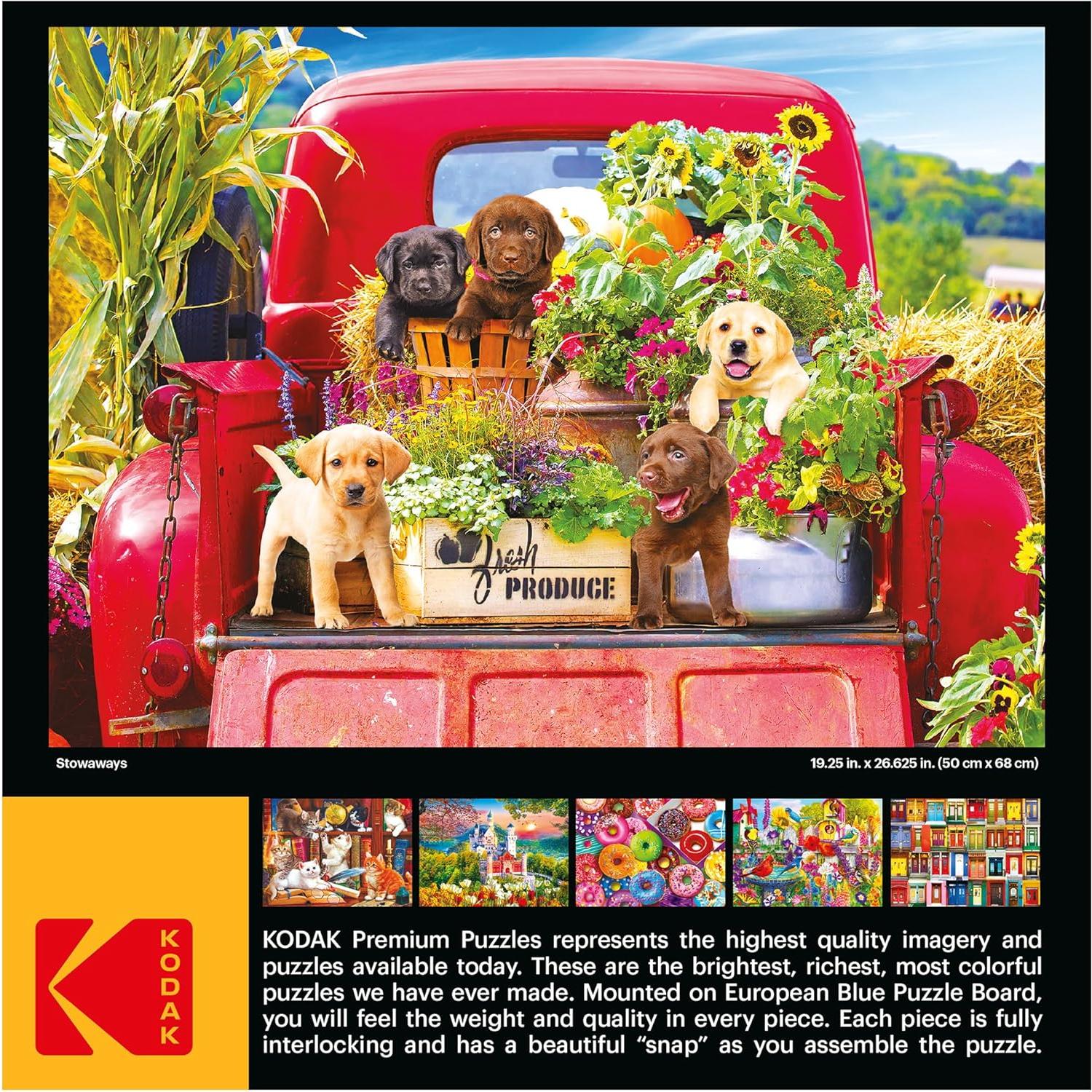 Rompecabezas Kodak Premium 1000 Piezas Stowaways