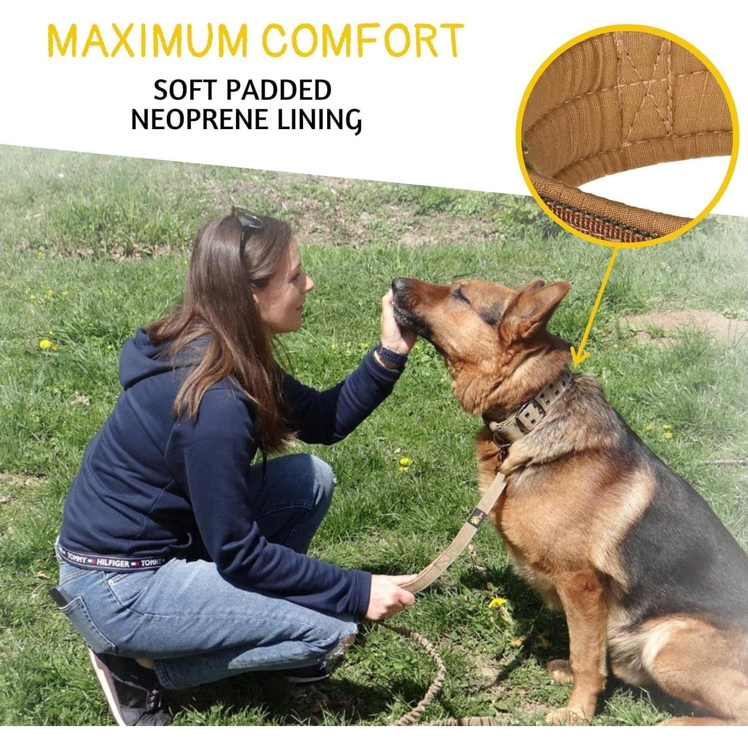 Collar para Perros Medianos ADITYNA Camuflaje Ajustable