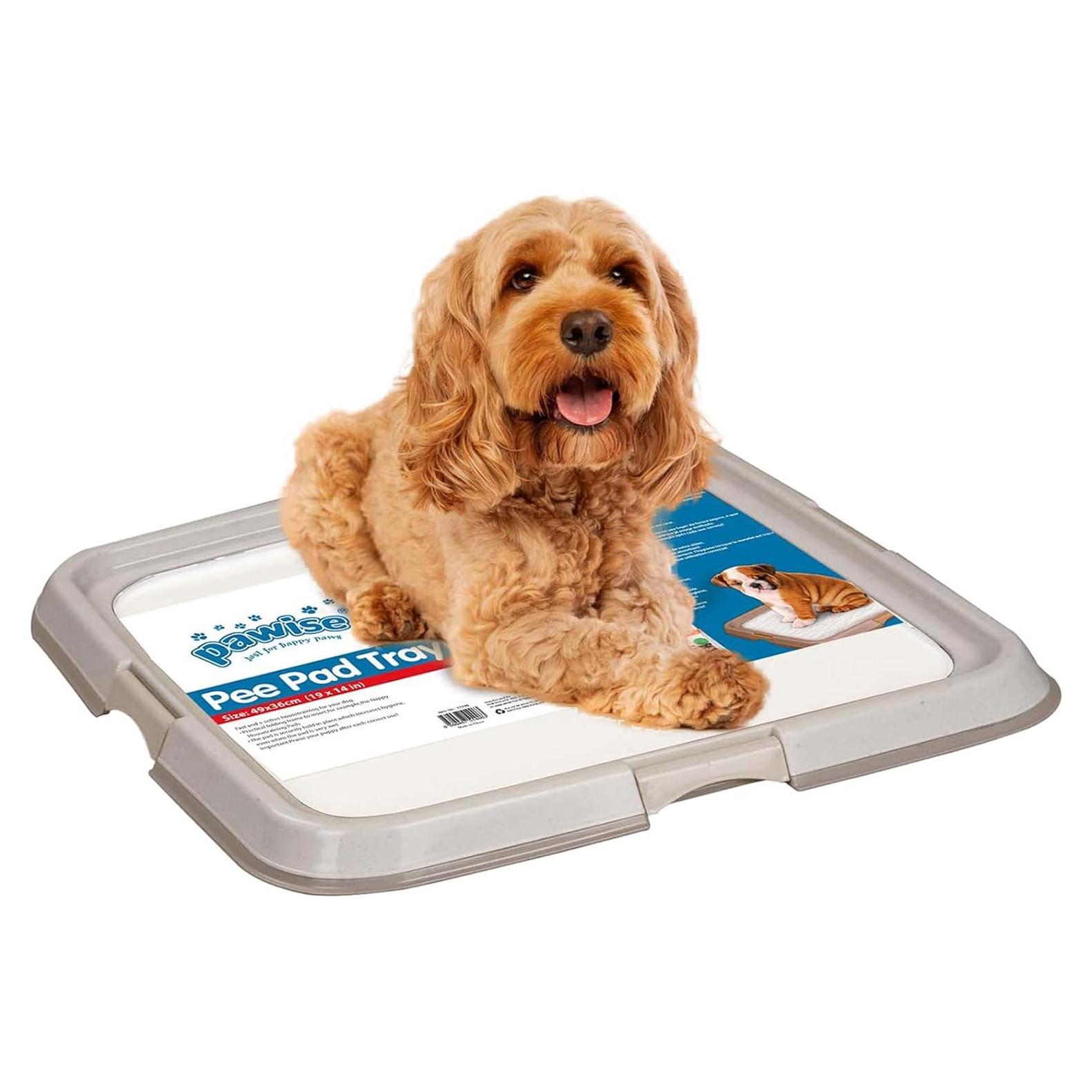 Soporte para Almohadillas Pawise 59.69x59.69 cm Antideslizante