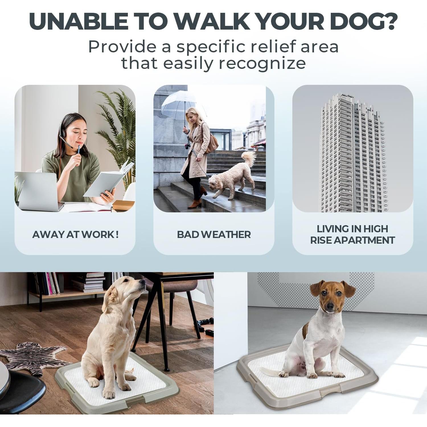 Soporte para Almohadillas Pawise 59.69x59.69 cm Antideslizante