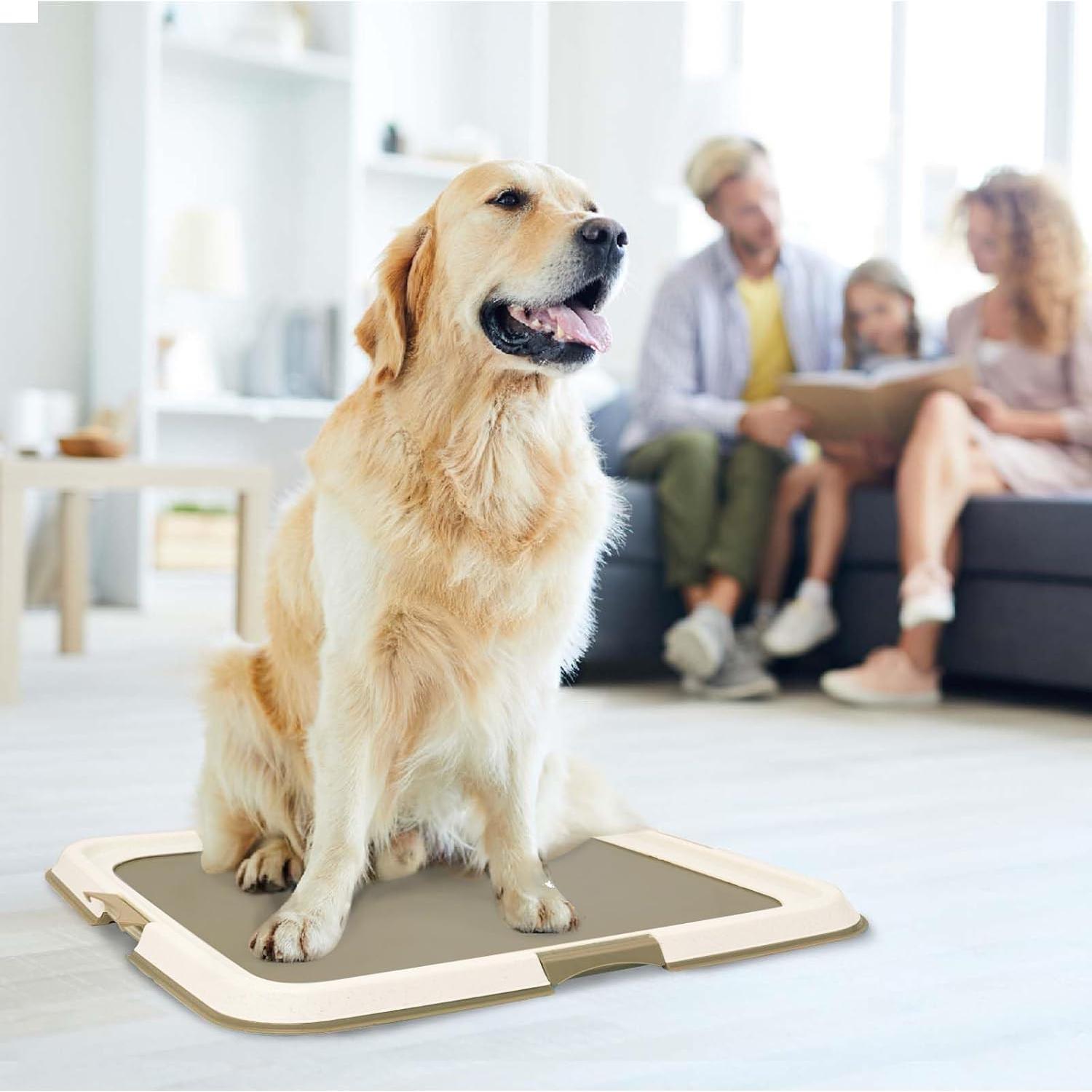 Soporte para Almohadillas Pawise 59.69x59.69 cm Antideslizante