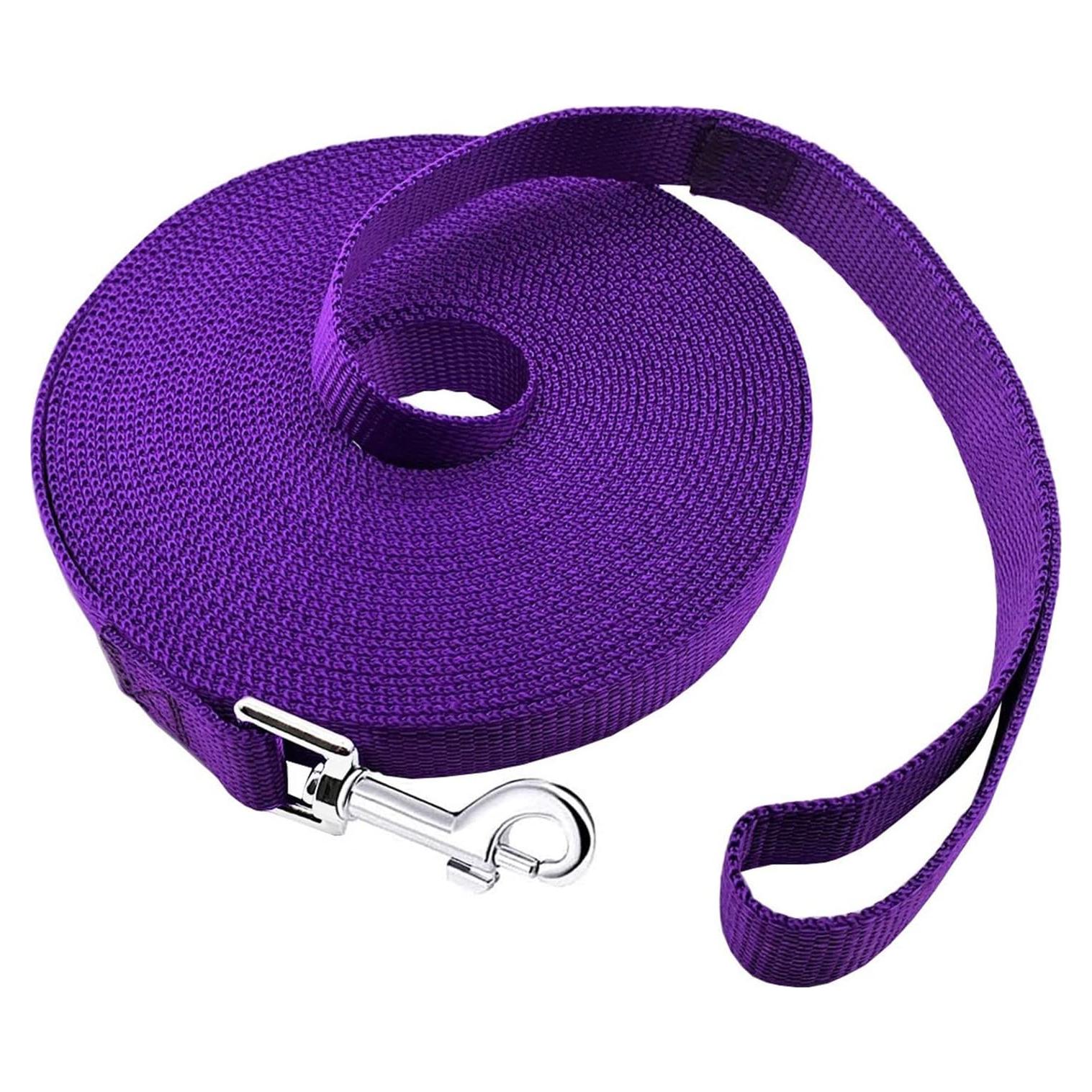 Correa Larga para Perros PETGOGO 1" x 9,14 m Púrpura