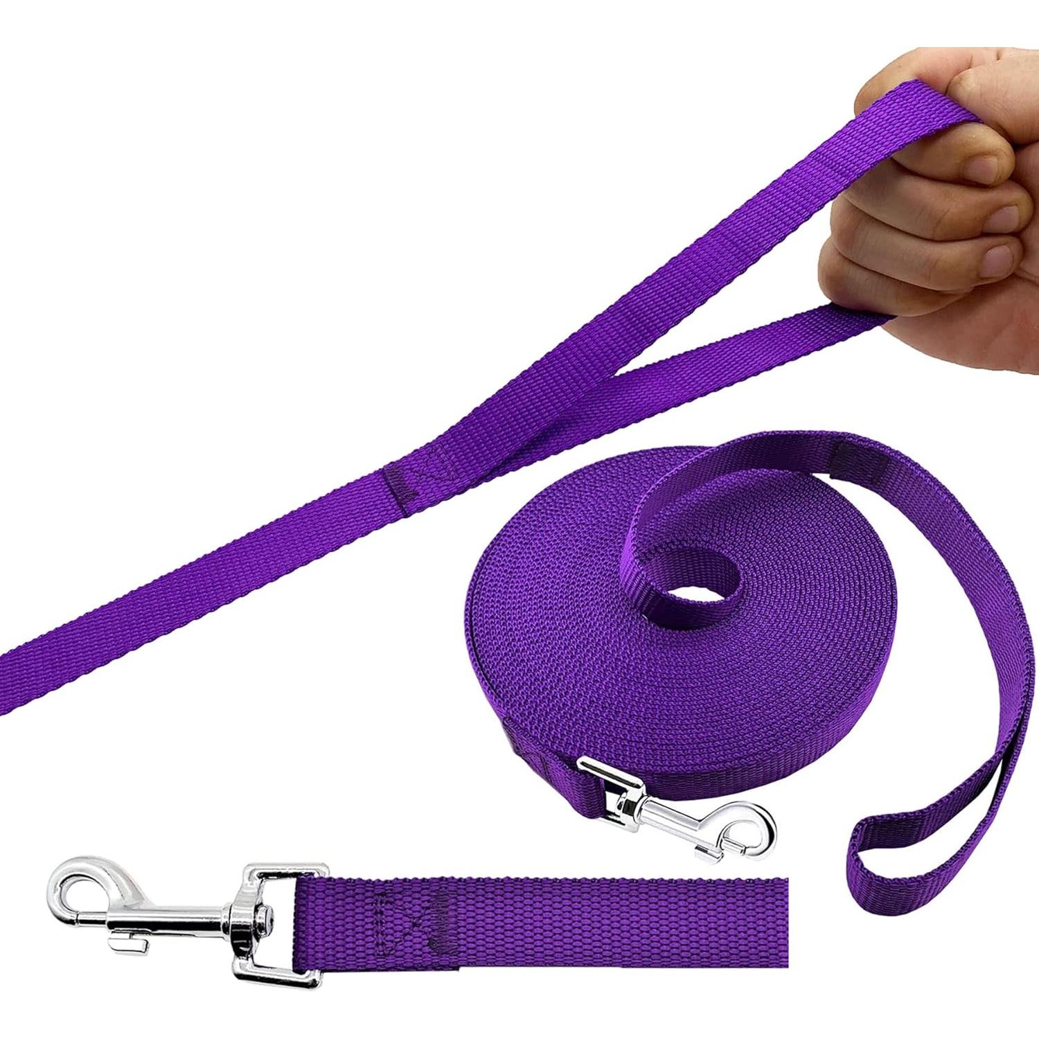 Correa Larga para Perros PETGOGO 1" x 9,14 m Púrpura
