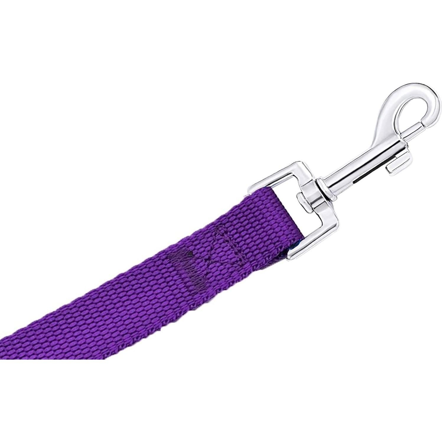 Correa Larga para Perros PETGOGO 1" x 9,14 m Púrpura