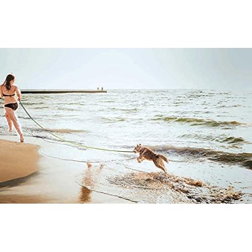 Correa Larga para Perros PETGOGO 1" x 9,14 m Púrpura