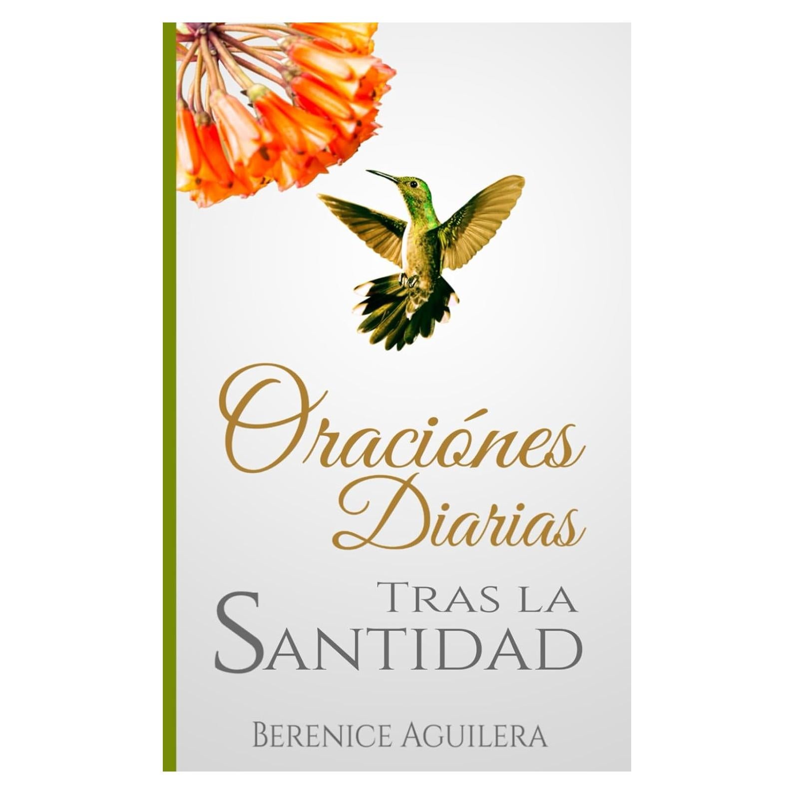 Oraciones Diarias - Tras la Santidad (Libro de Oraciones Cristianas) (Spanish Edition)