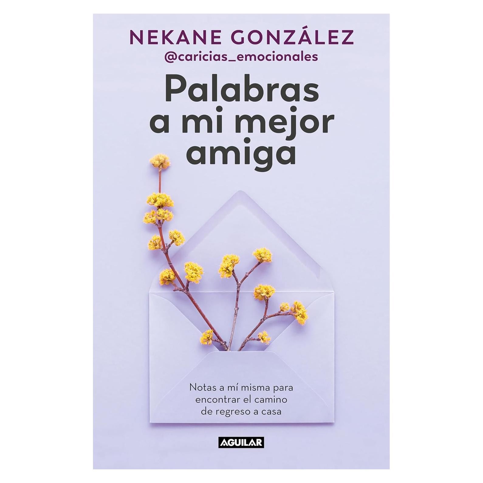 Palabras a mi mejor amiga: Notas a mí misma para encontrar el camino de regreso a casa (Spanish Edition)