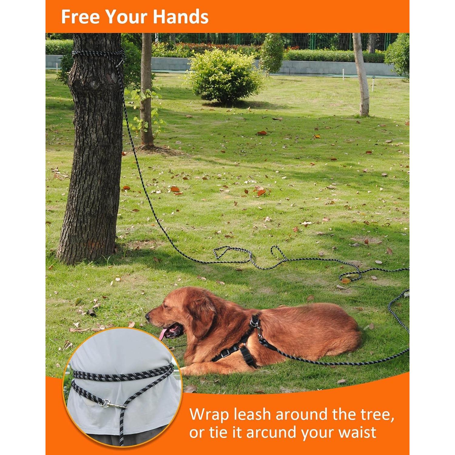 Correa Larga para Perros Lanwandeng 6.10m Resistente Negra