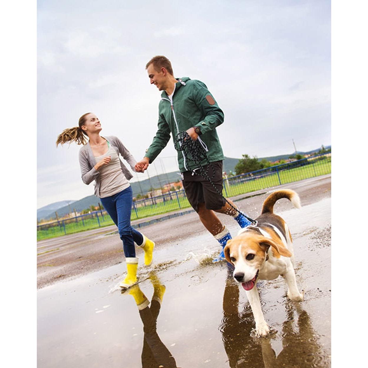 Correa Larga para Perros Lanwandeng 6.10m Resistente Negra