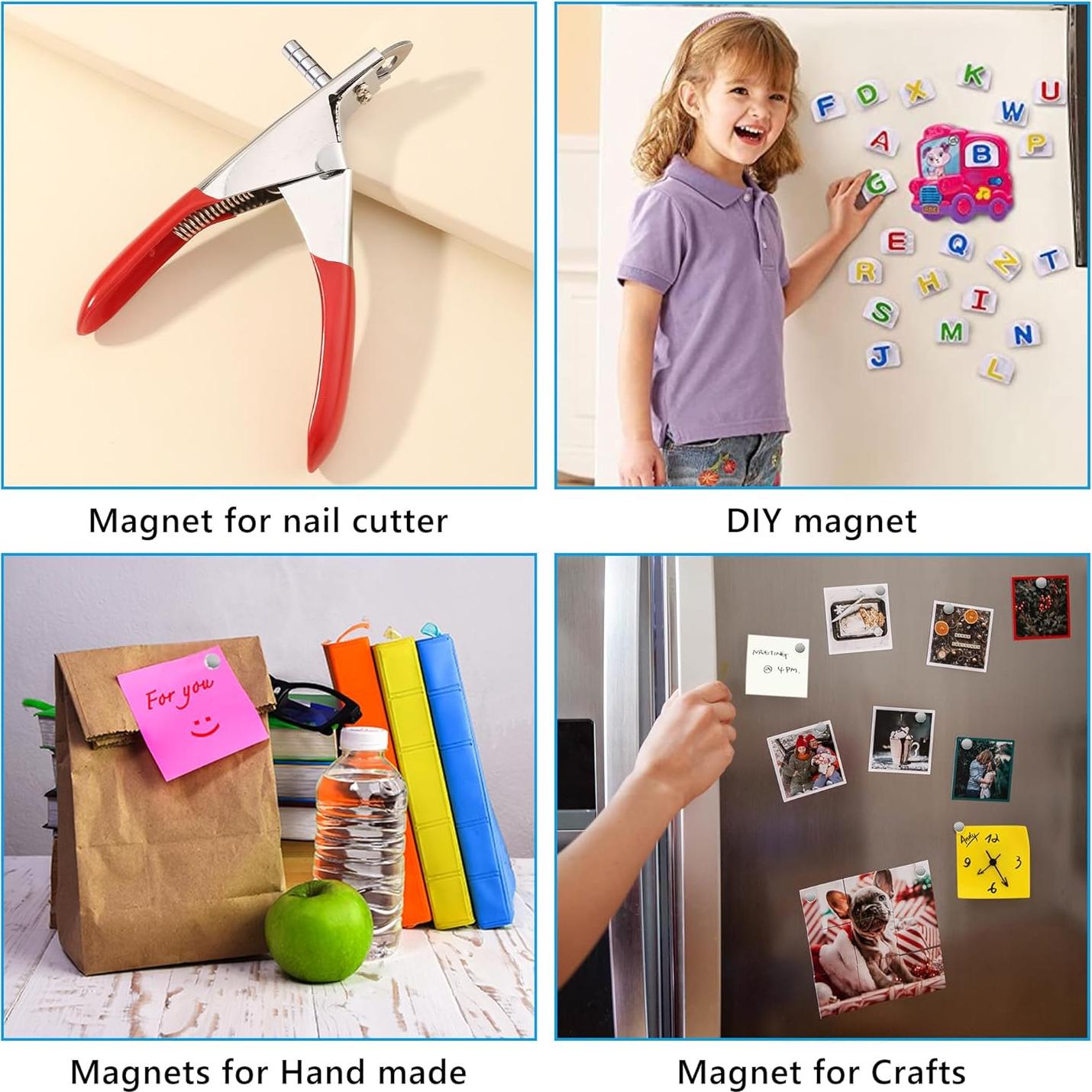 Imanes Mini RHINOCATS 400 Piezas 4 Tamaños Multiuso