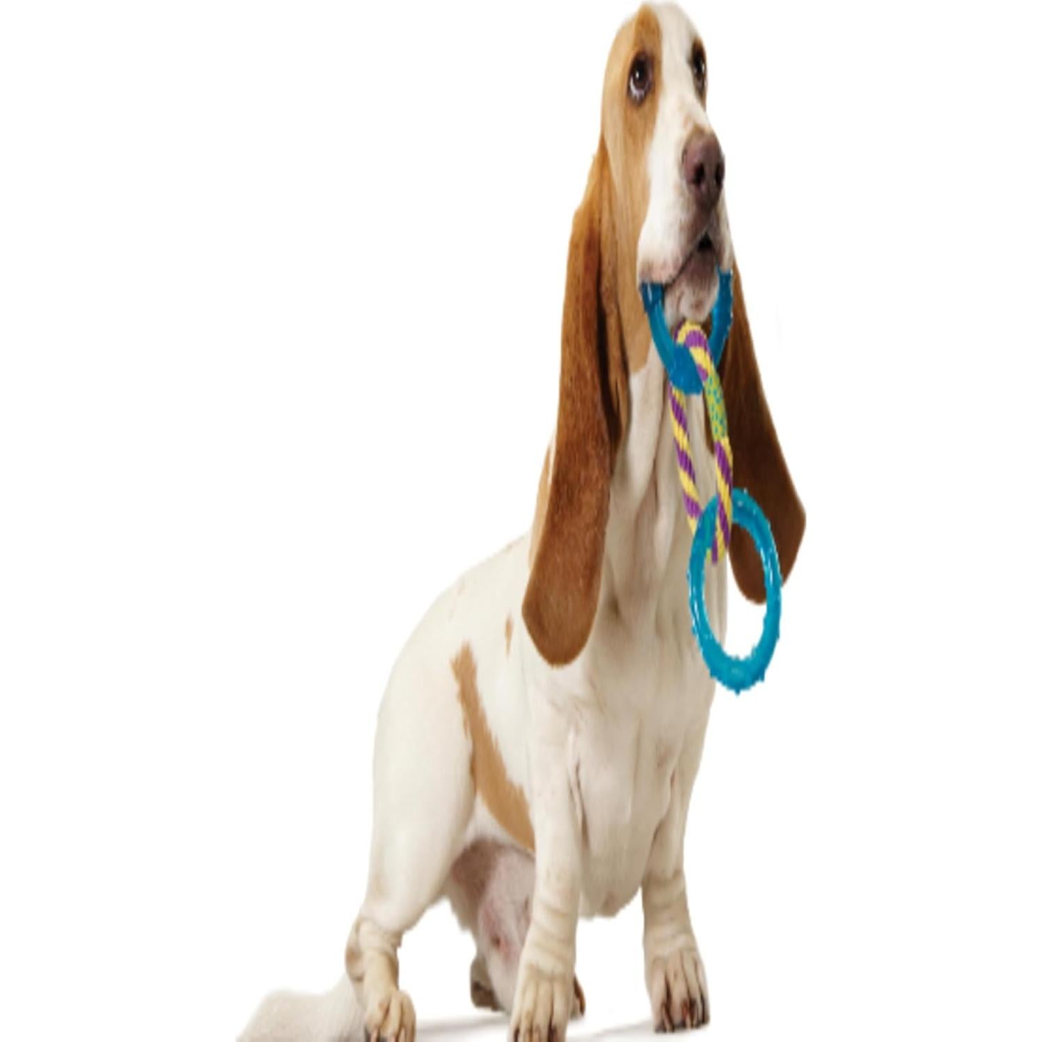 Juguete para Perros Petstages ORKA Enlaces Dentales