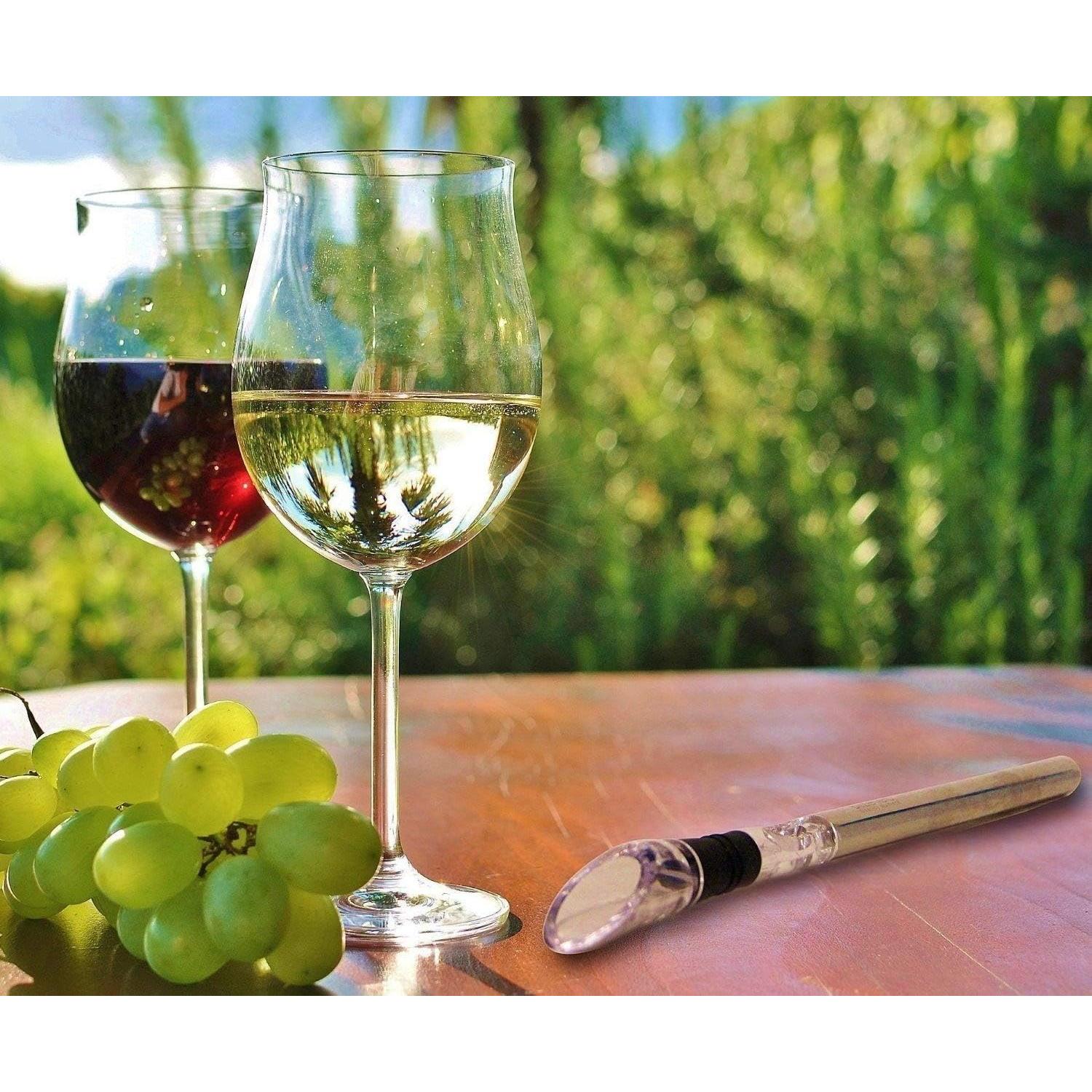 Enfriador de Vino 3 en 1 Sip and Conquer - Acero Inoxidable