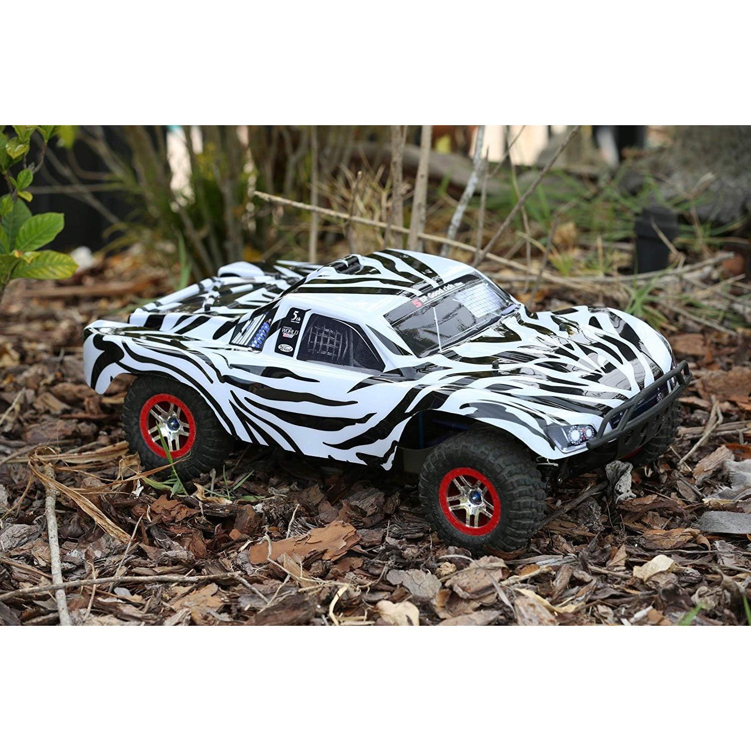 Cuerpo Reemplazo SummitLink Estilo Cebra 1/10 para RC