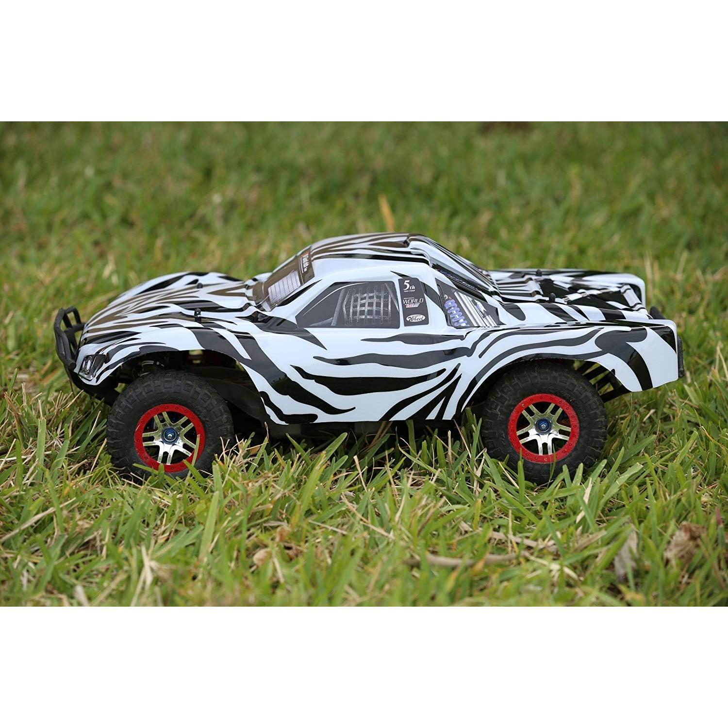 Cuerpo Reemplazo SummitLink Estilo Cebra 1/10 para RC