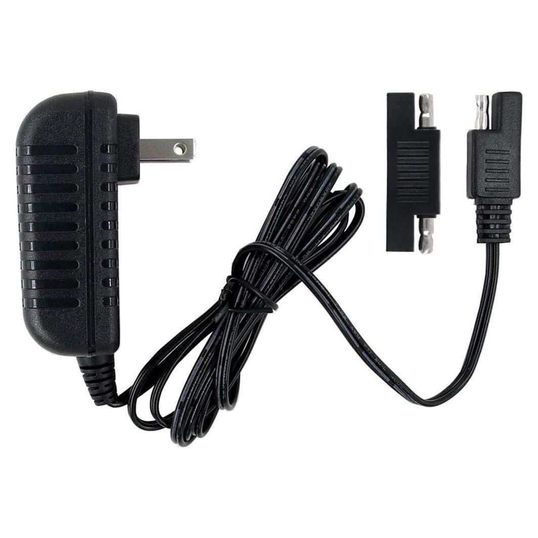 Cargador 6V HZPOWER para Quad Disney y Marvel ATV