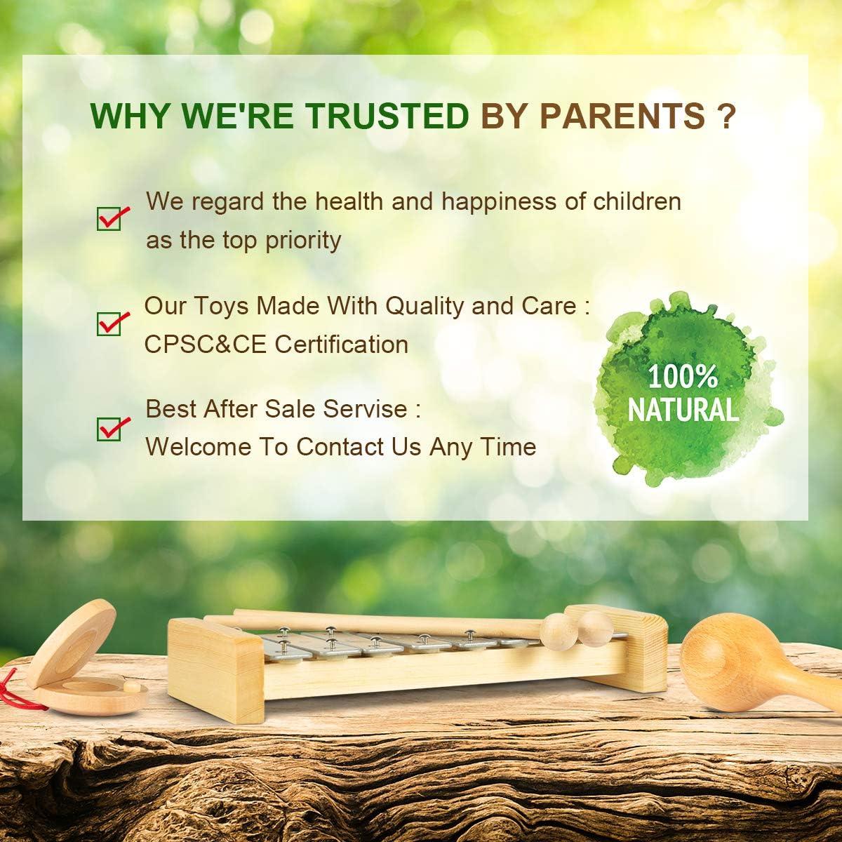 Set de Instrumentos Musicales LOOIKOOS para Niños 1-3 Años