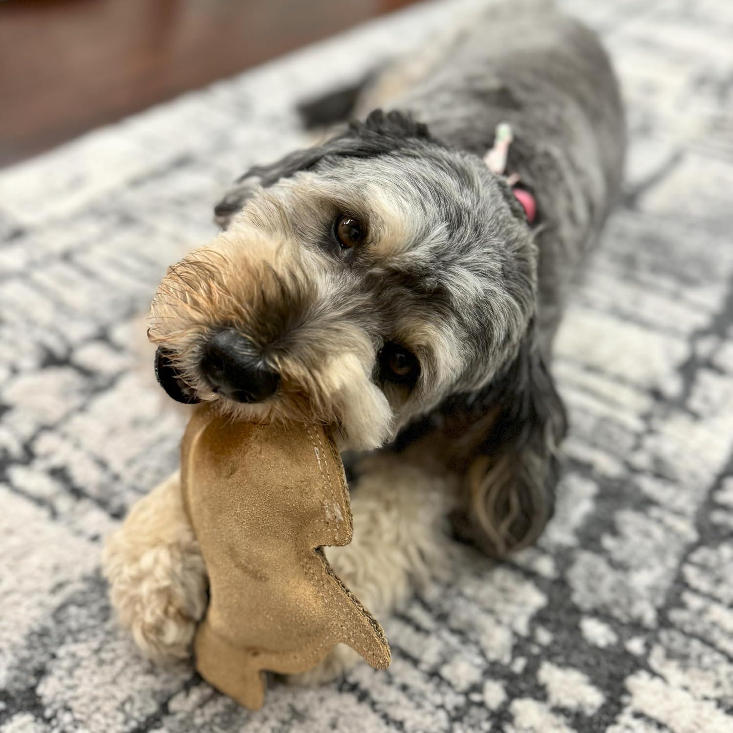 Juguete para Perros SPOT Conejo de Cuero 19 cm con Sonido