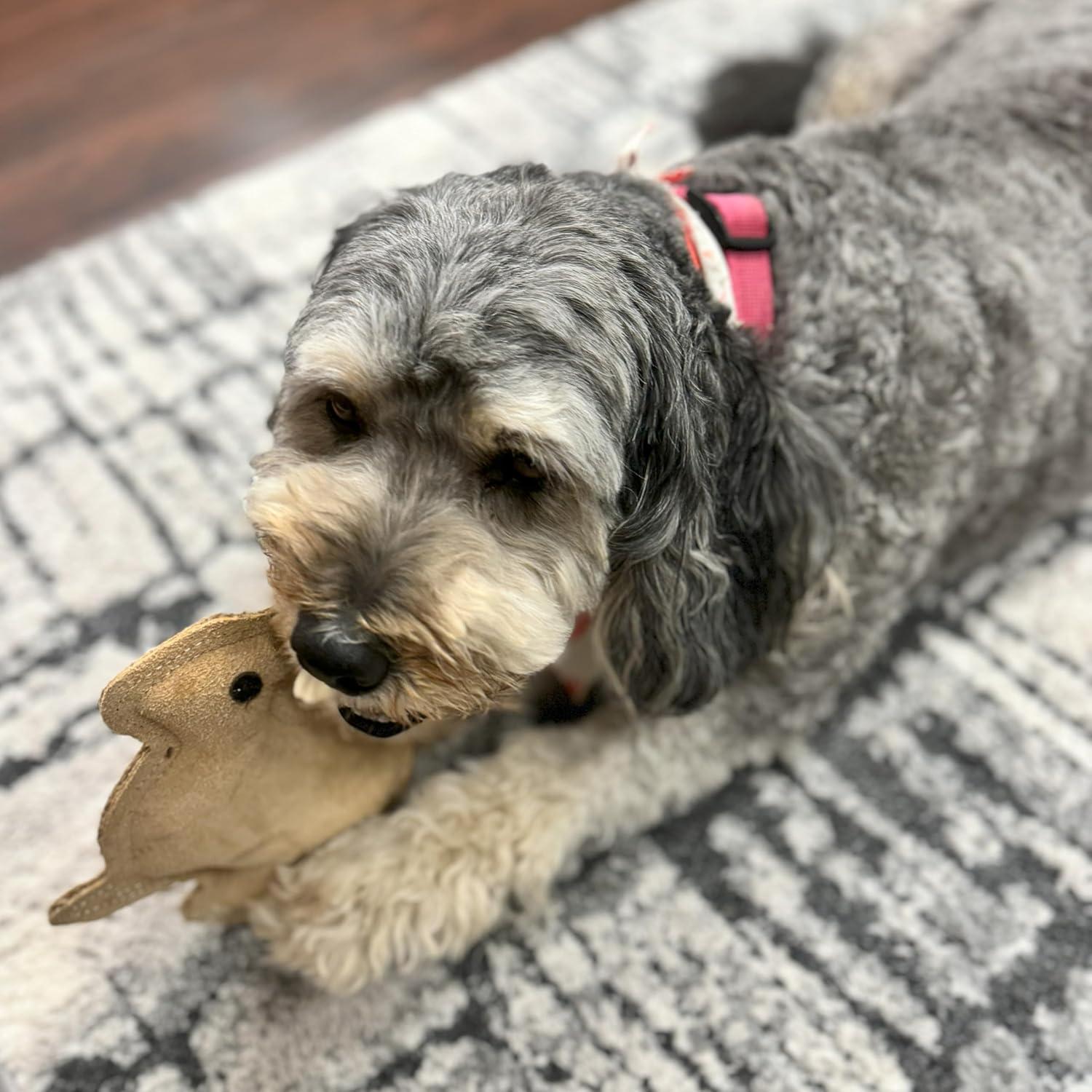 Juguete para Perros SPOT Conejo de Cuero 19 cm con Sonido