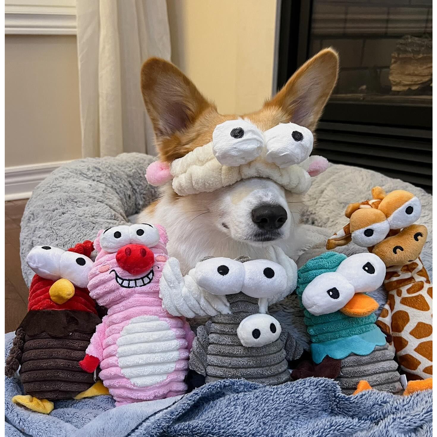 Juguetes para Perros Nocciola 5 Animales Squeaky Duraderos