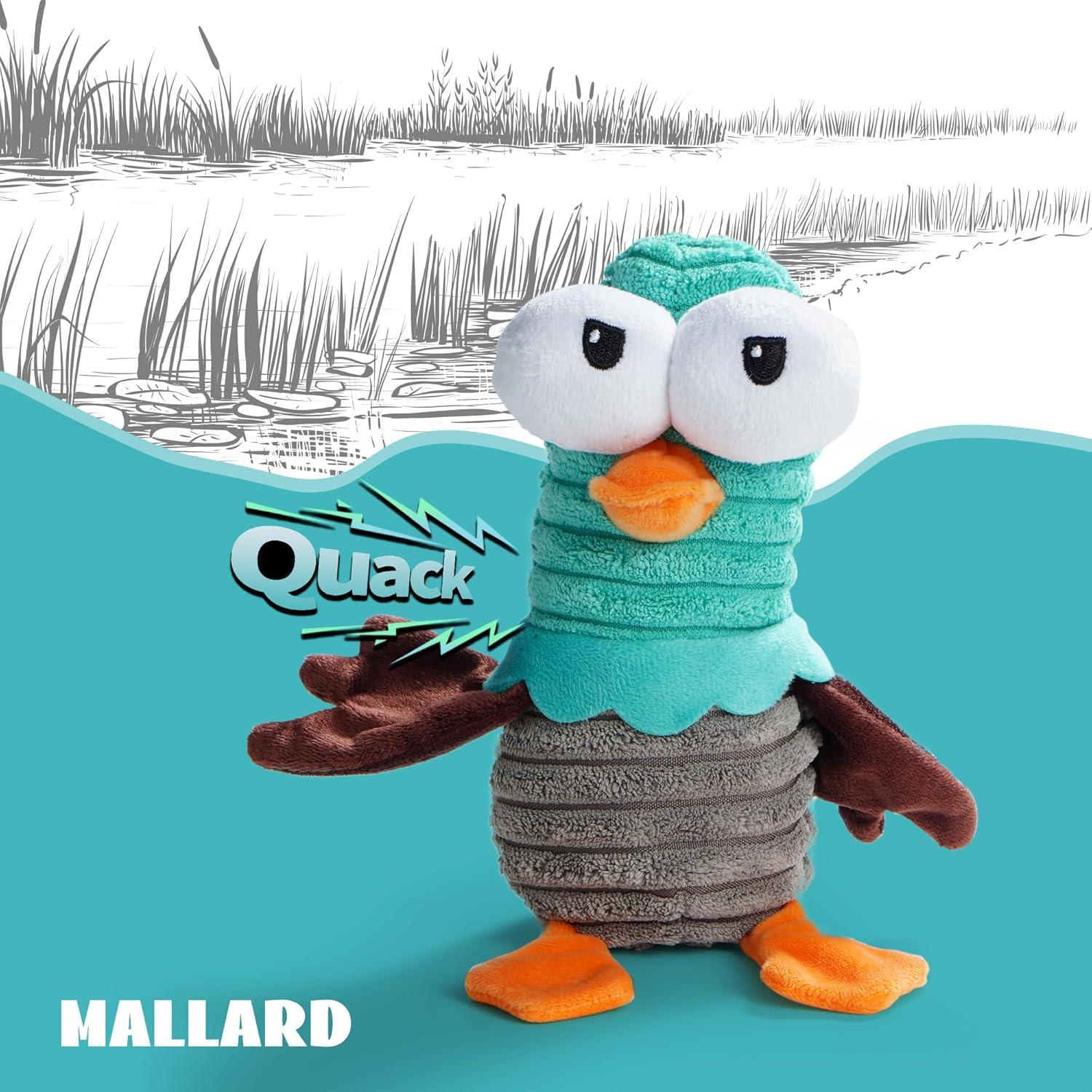 Juguetes para Perros Nocciola 5 Animales Squeaky Duraderos