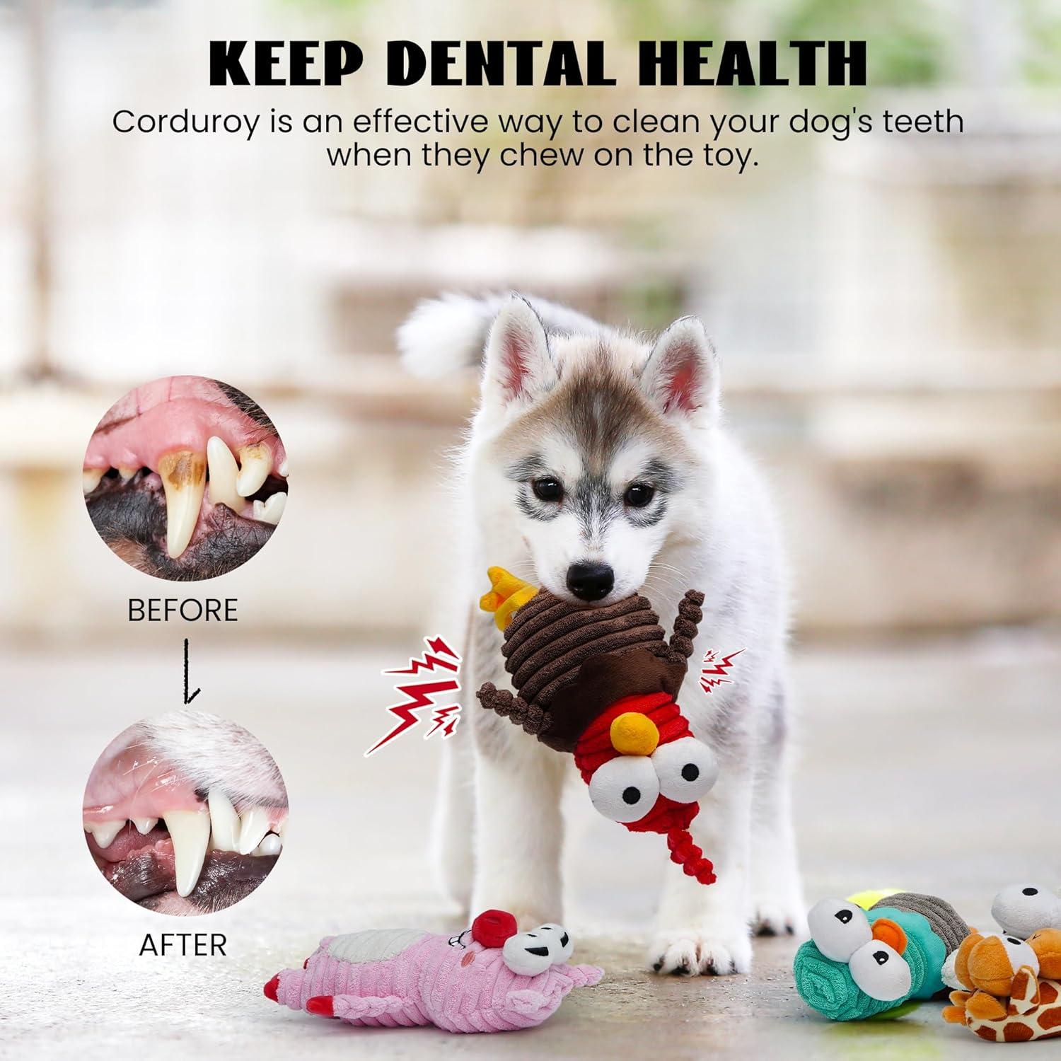 Juguetes para Perros Nocciola 5 Animales Squeaky Duraderos