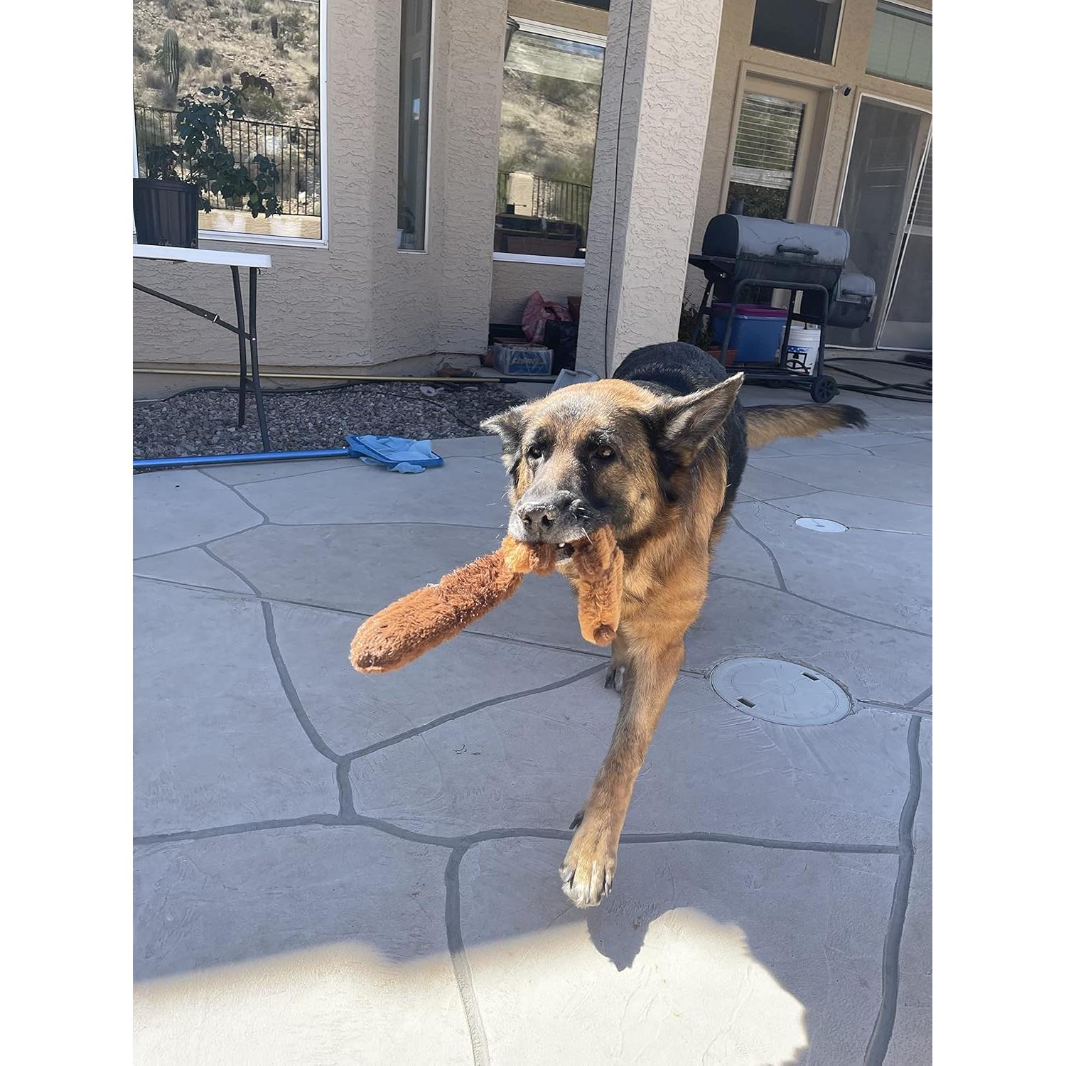 Juguete para Perros Jalousie 5 Pack Sonido Duradero