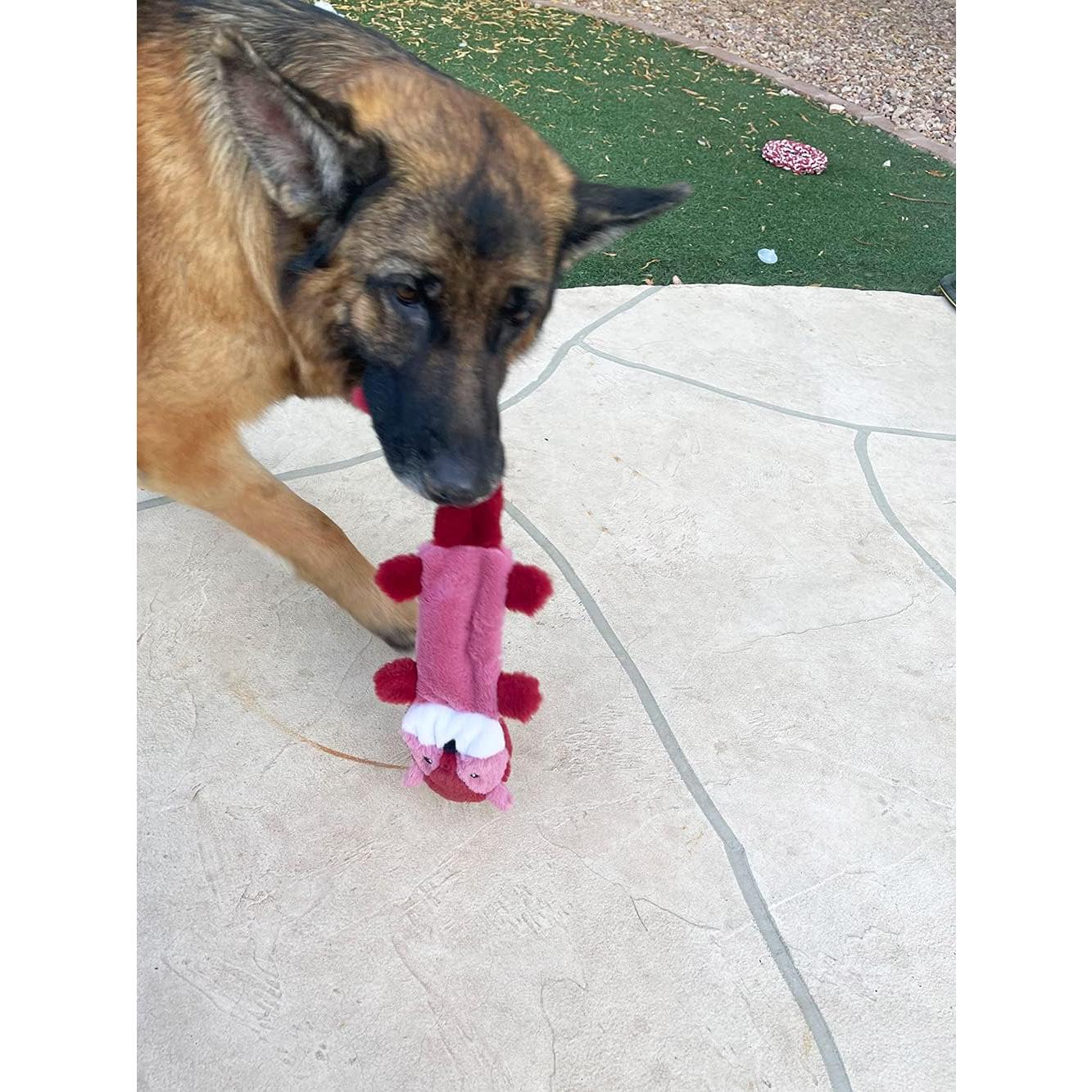 Juguete para Perros Jalousie 5 Pack Sonido Duradero