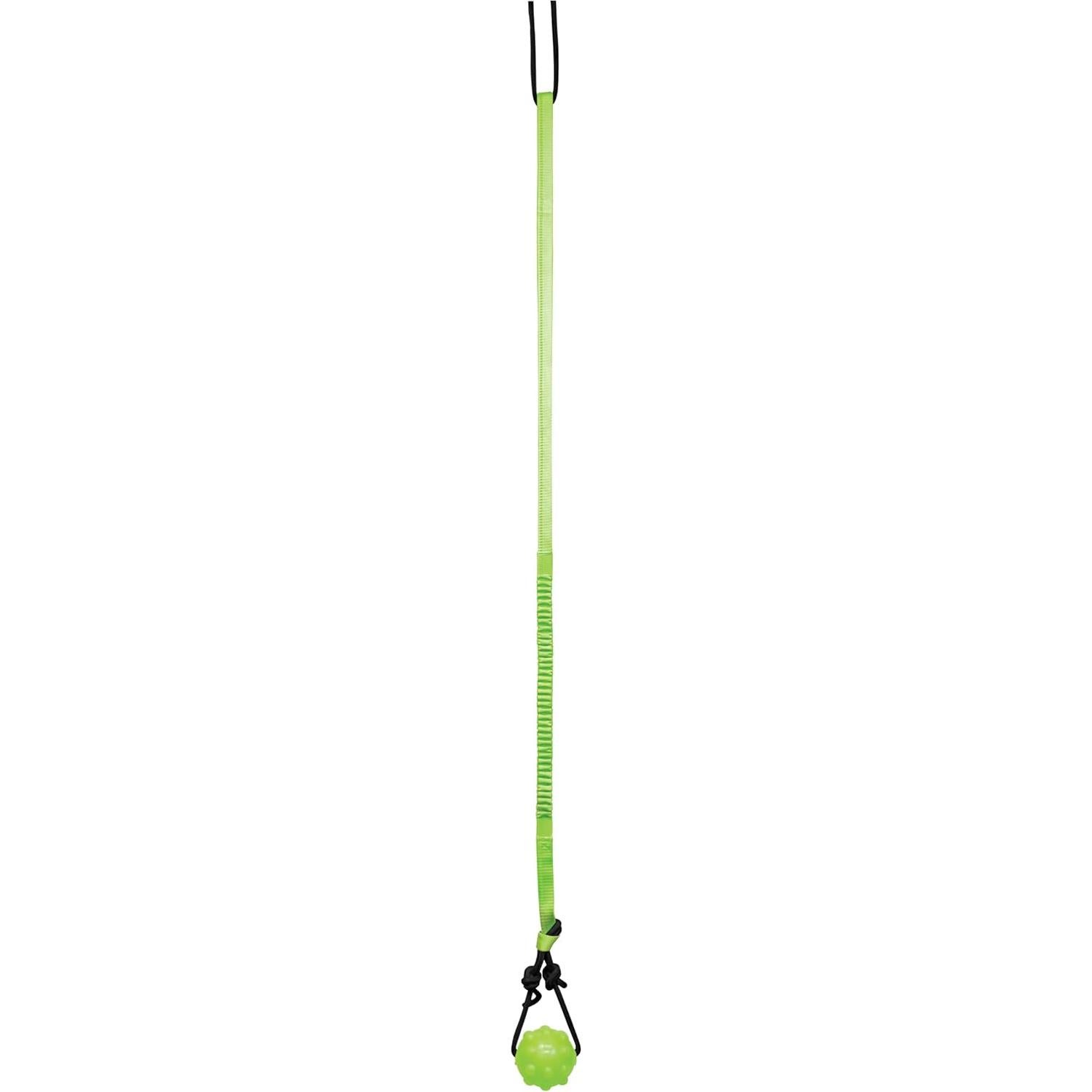 Jolly Pets Tree Tugger para perro verde - Juguete interactivo