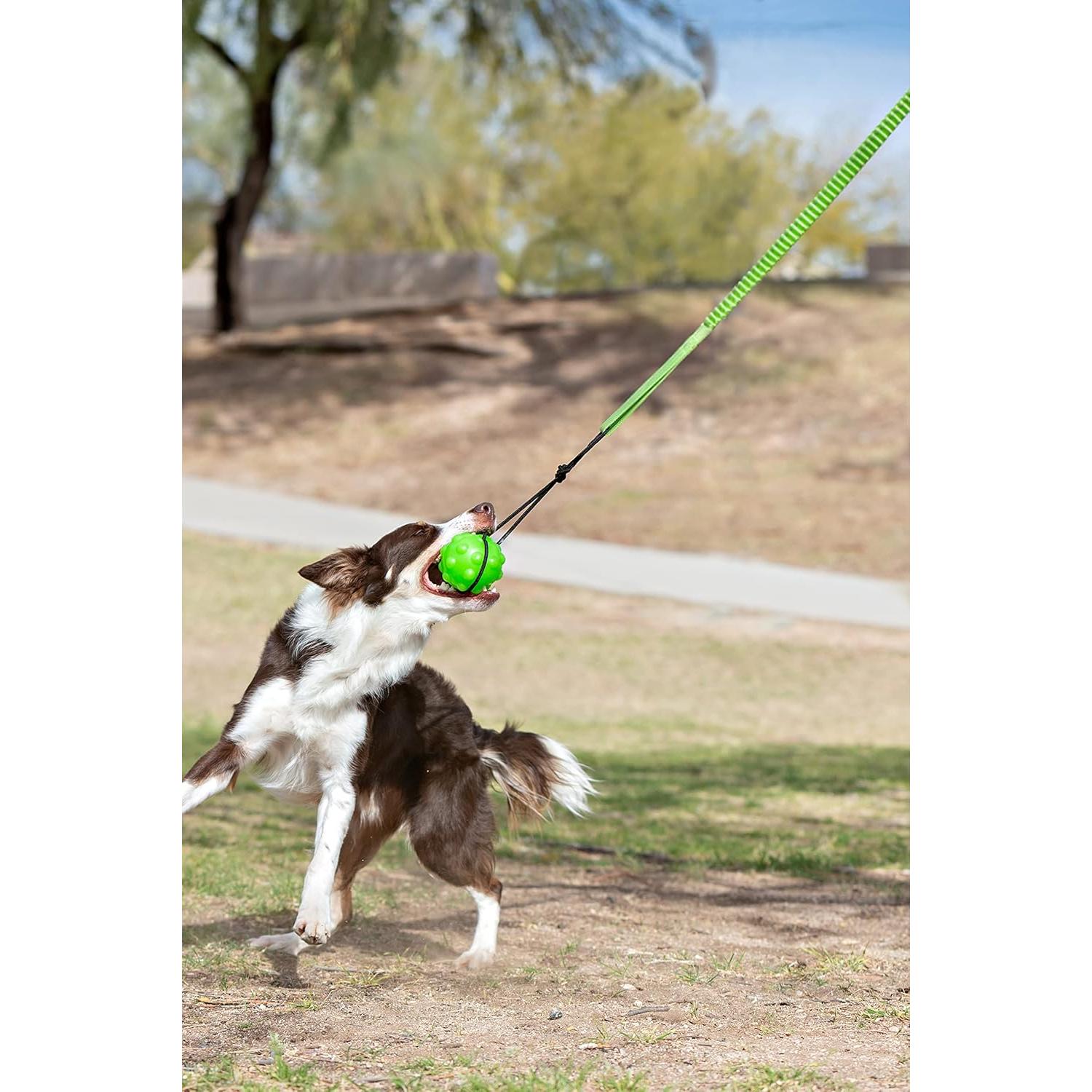 Jolly Pets Tree Tugger para perro verde - Juguete interactivo