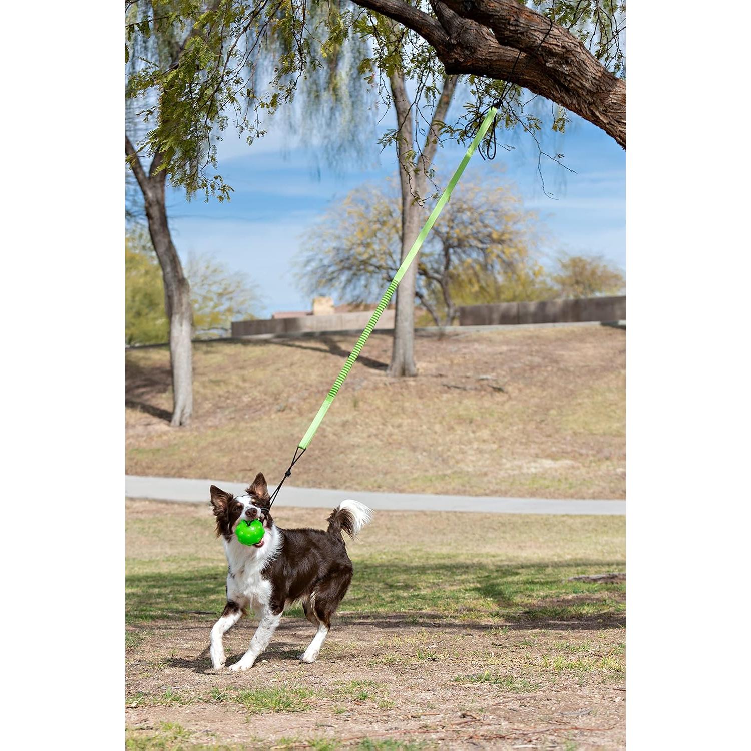 Jolly Pets Tree Tugger para perro verde - Juguete interactivo