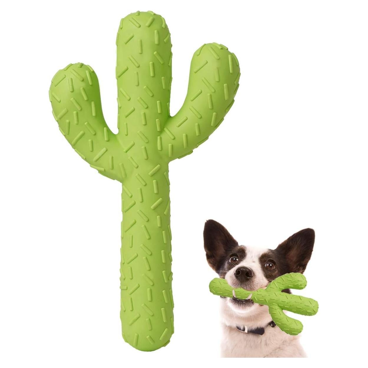 MewaJump Juguete para Perros Cactus Caucho Dental Verde