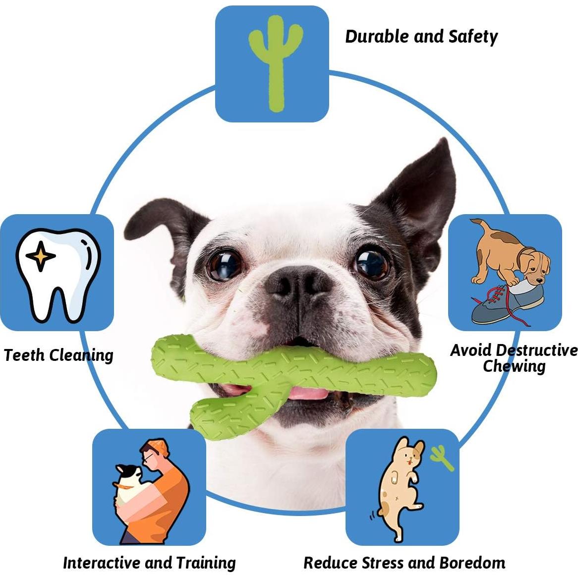 MewaJump Juguete para Perros Cactus Caucho Dental Verde