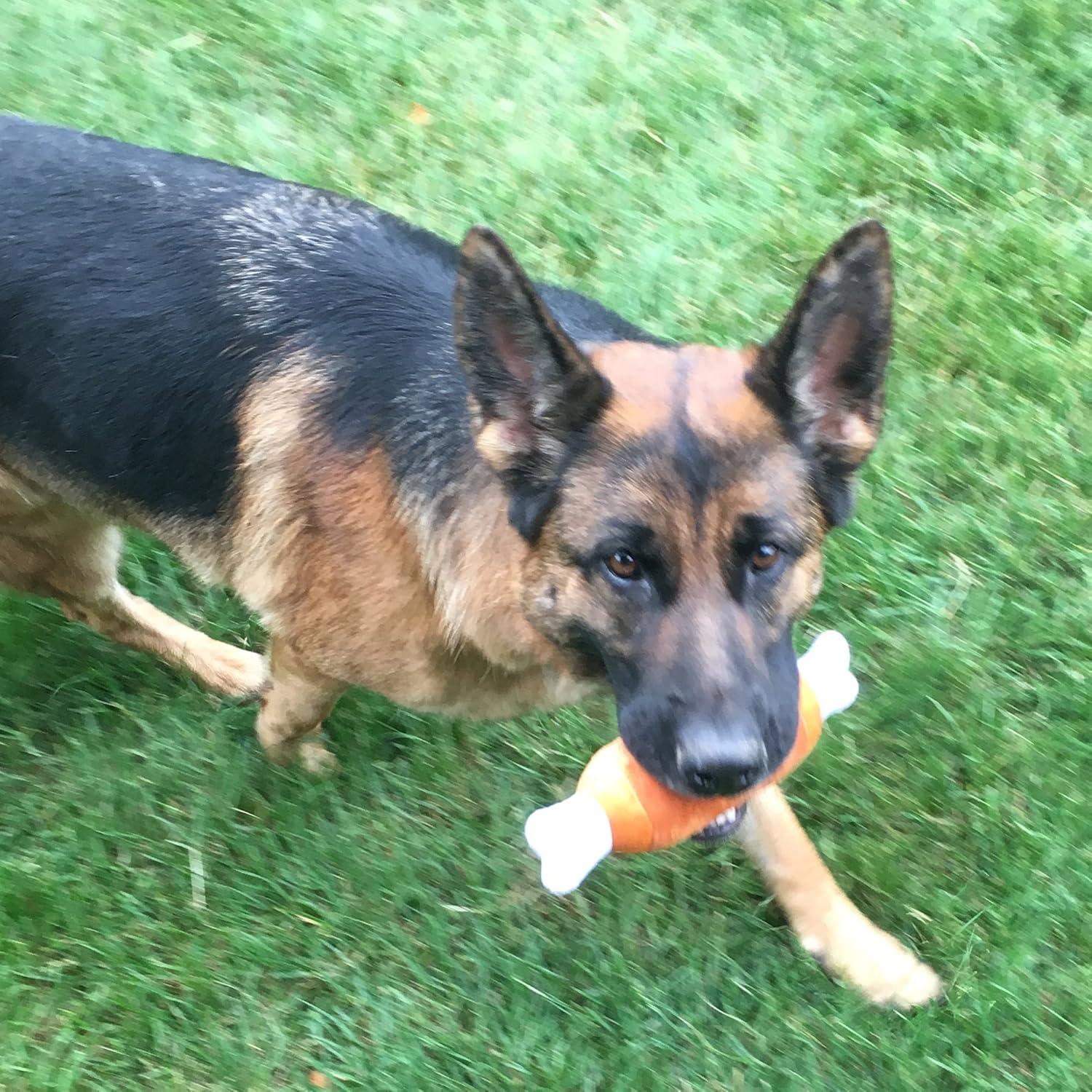 Juguetes de Peluche Chirriantes Jalousie 12 Pack para Perros