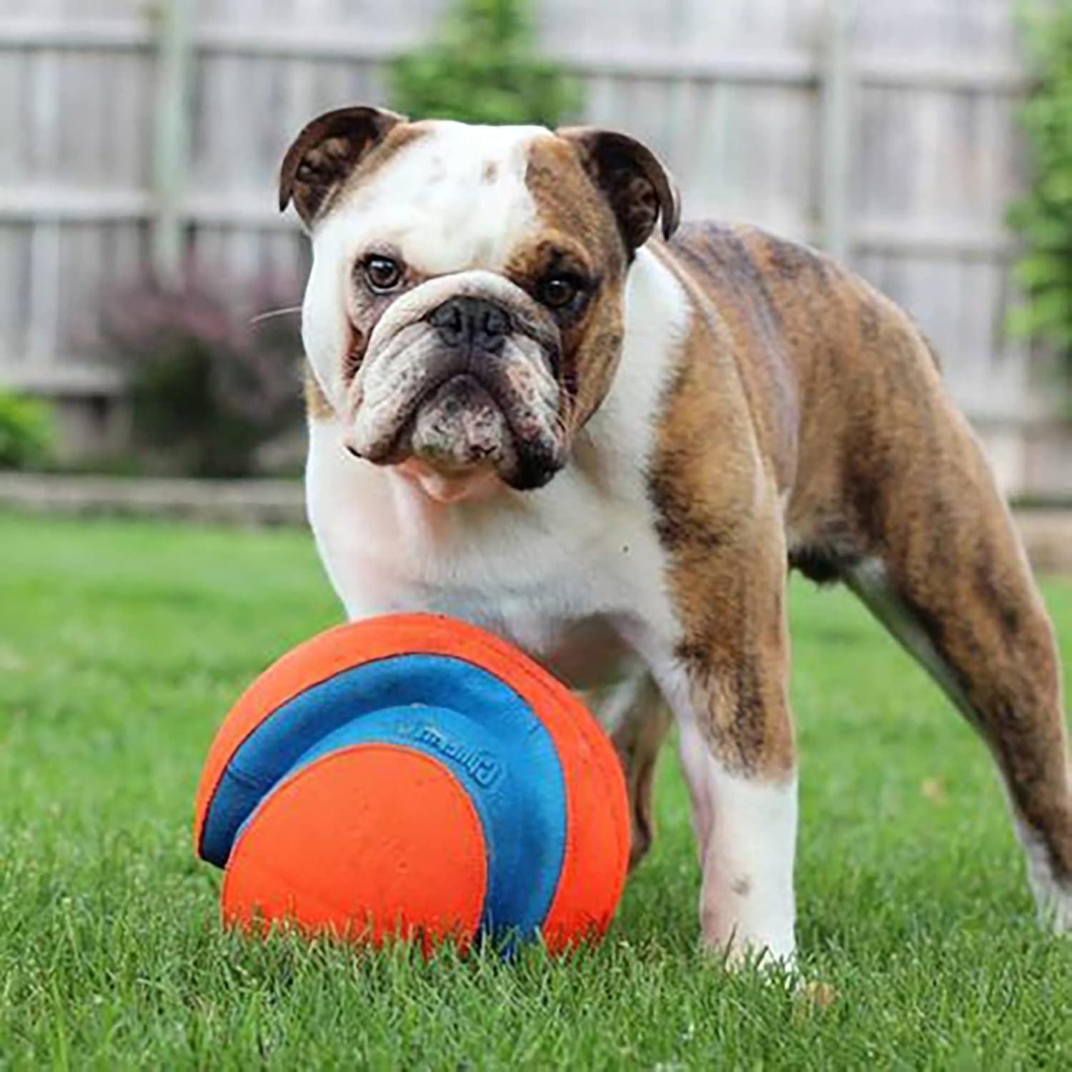 Pelota Chuckit! Kick Fetch Grande - Flota y Rebota - Para Perros