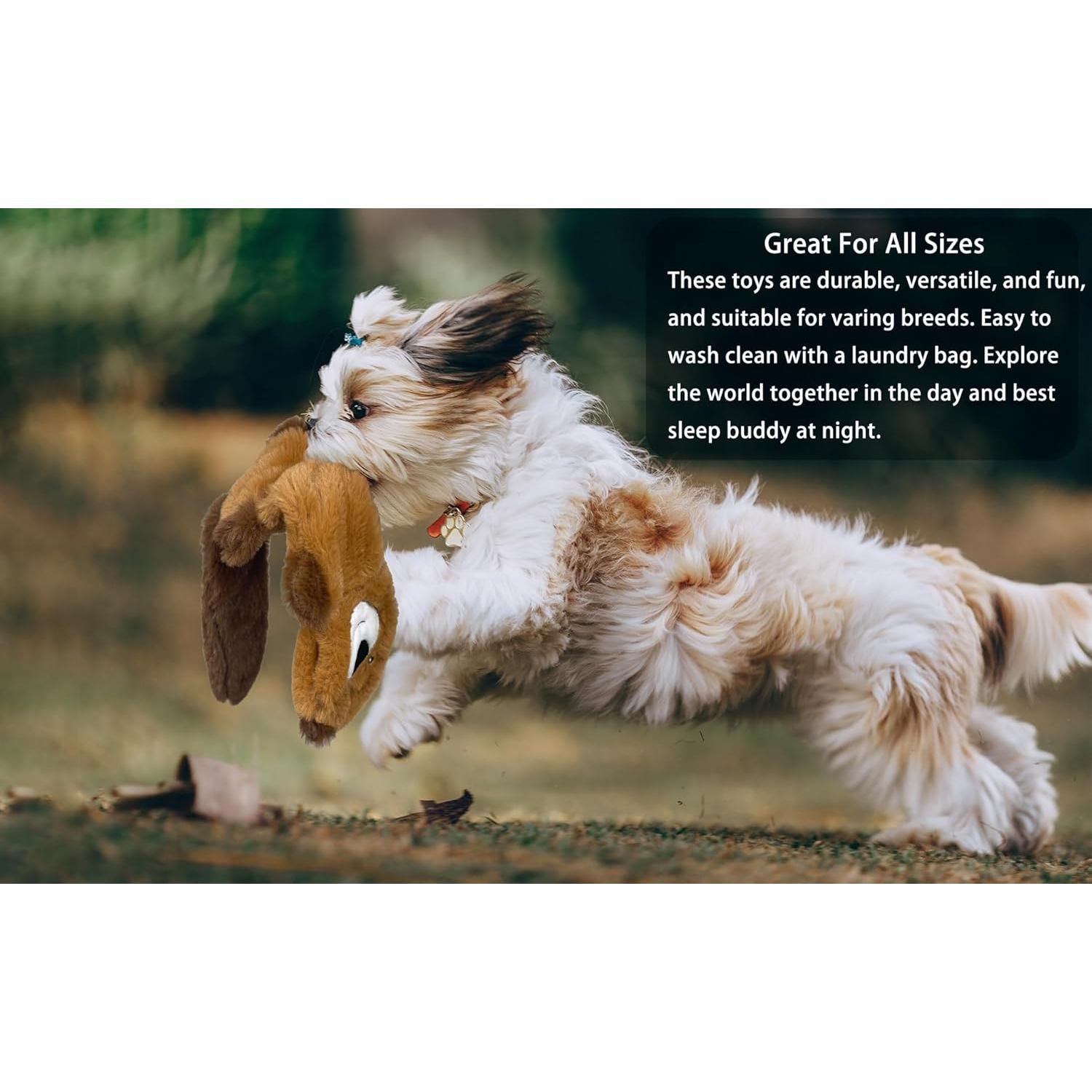 Cesta de Regalo para Perros Jalousie 24 Piezas Multicolor