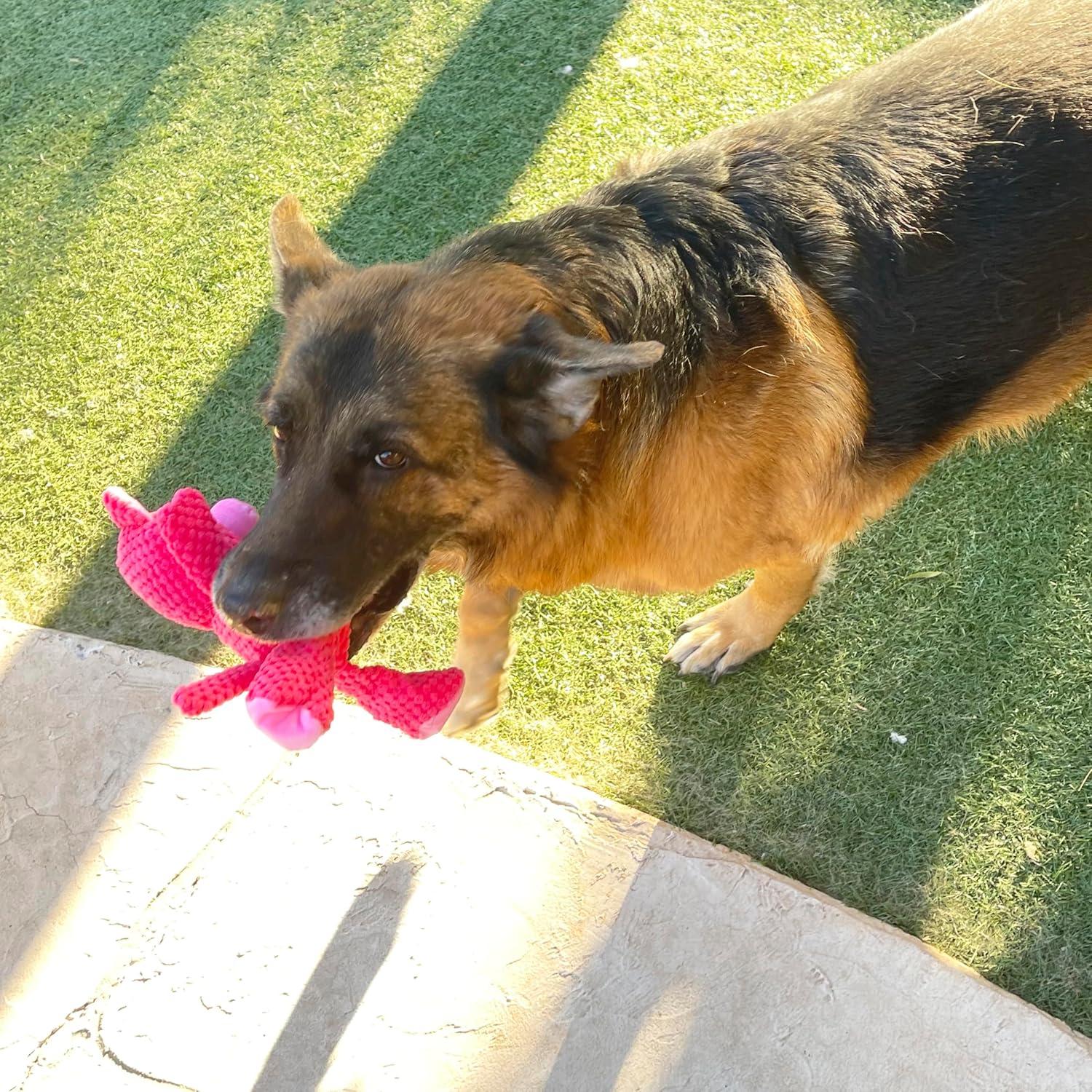 Cesta de Regalo para Perros Jalousie 24 Piezas Multicolor