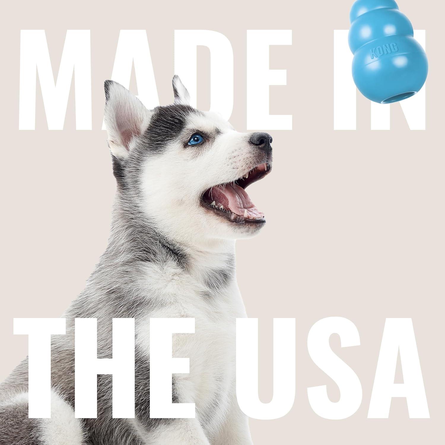 KONG Cachorro - Juguete de goma para morder - Azul