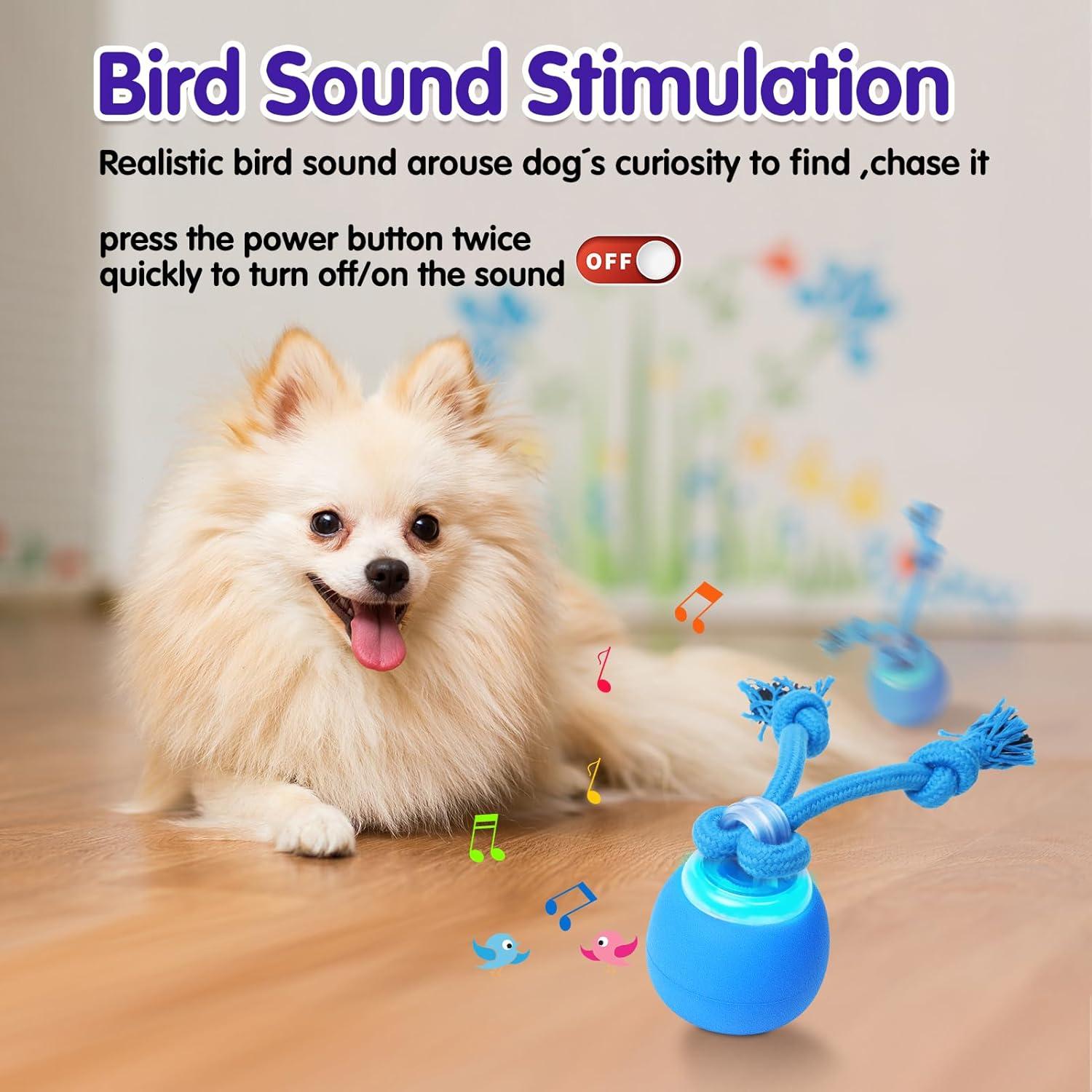 Bola Interactiva para Perros LEPLE LP51 Recargable Azul